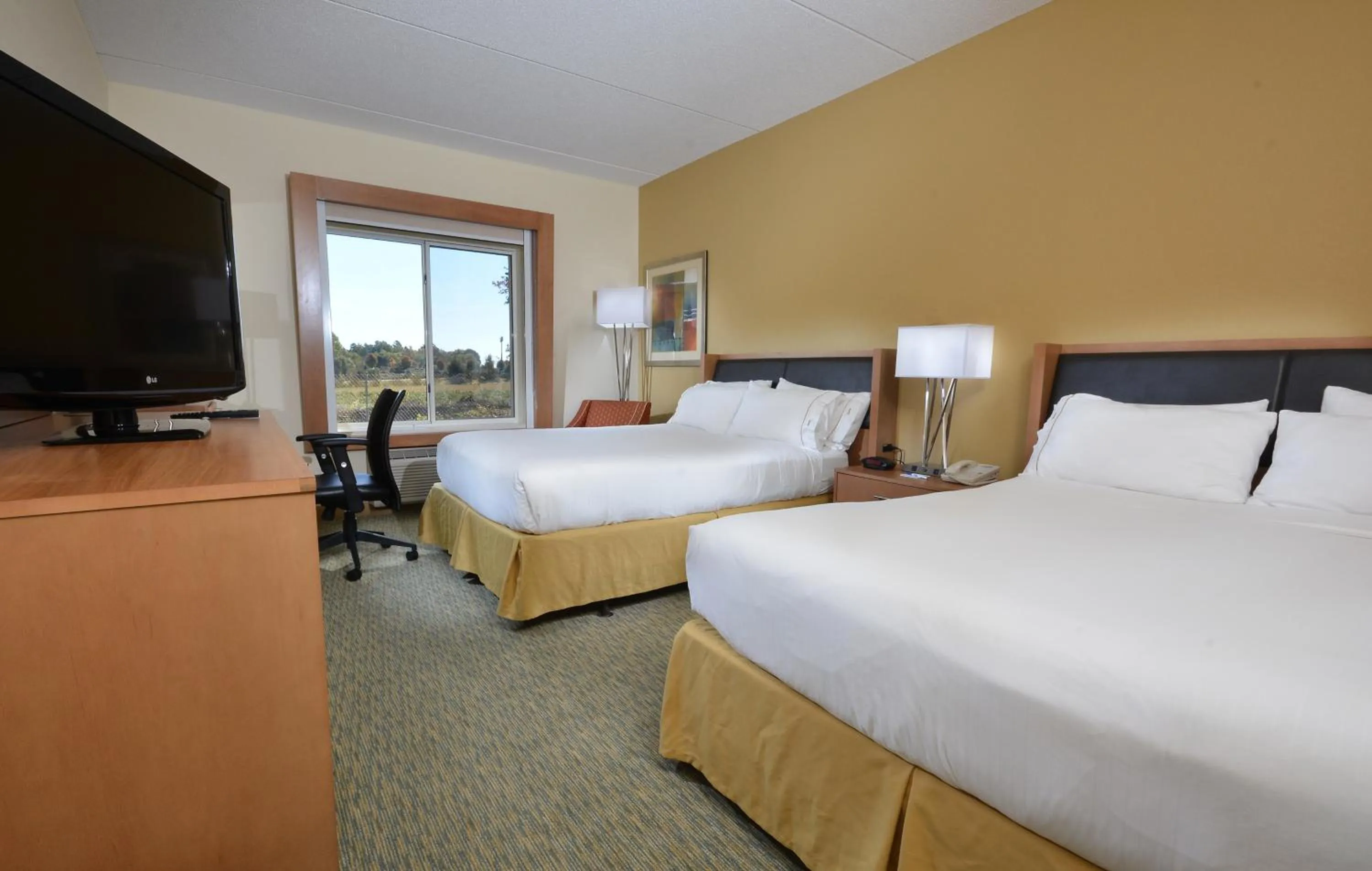Photo of the whole room, Bed in Holiday Inn Express Hotel & Suites High Point South by IHG