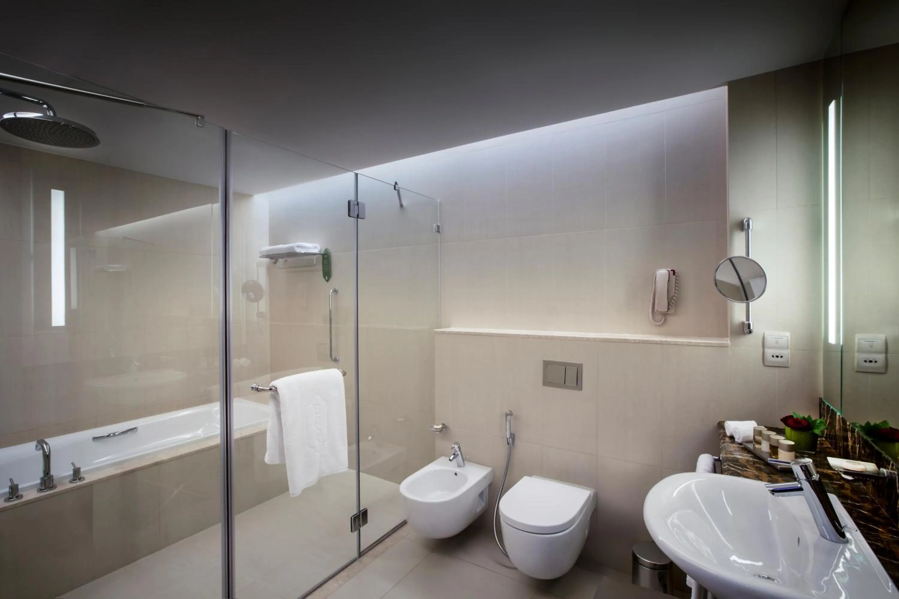 Shower in Bab Al Qasr Residence