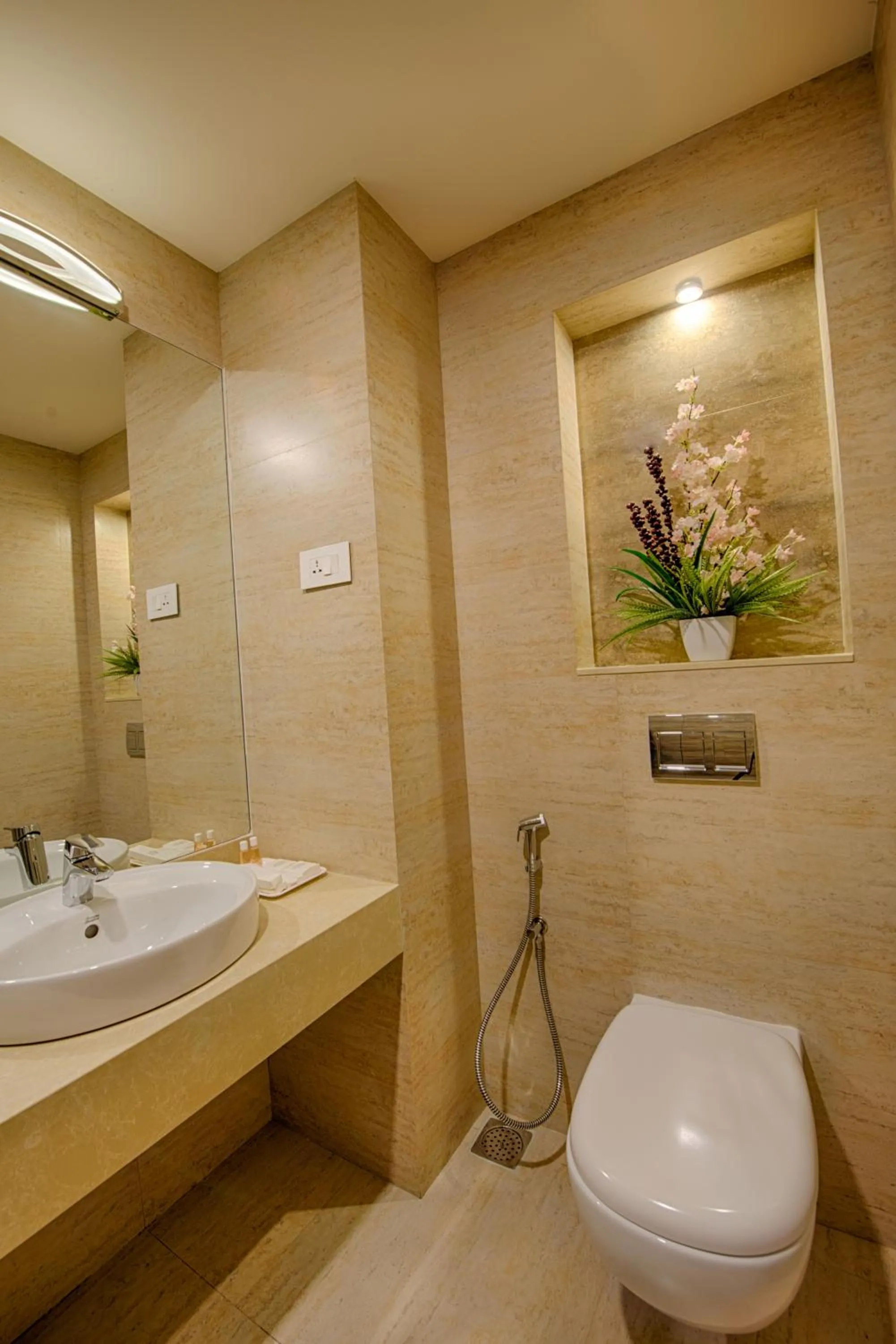 Shower in Hotel Chenthur Park