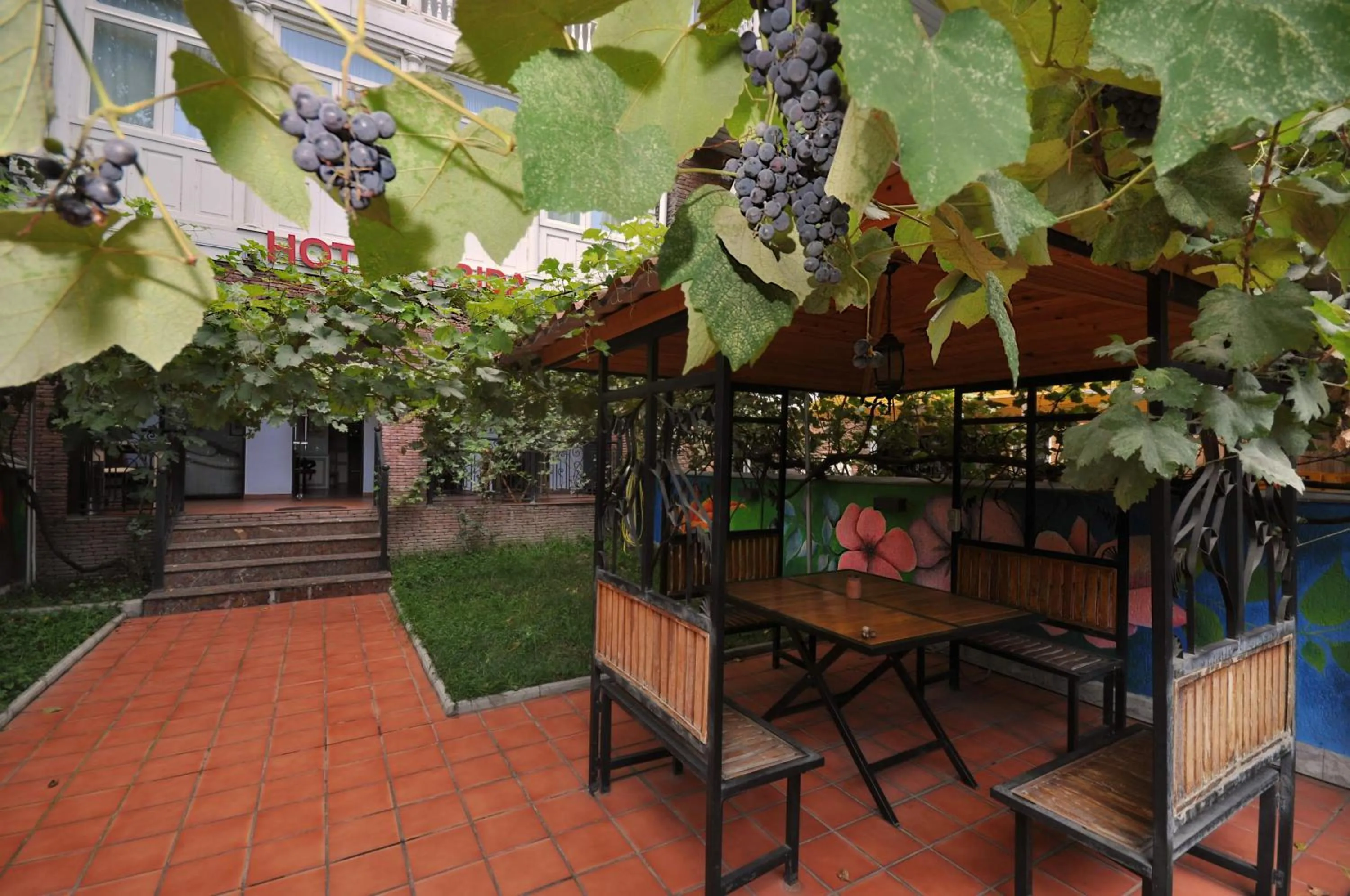 Patio in Hotel Frida