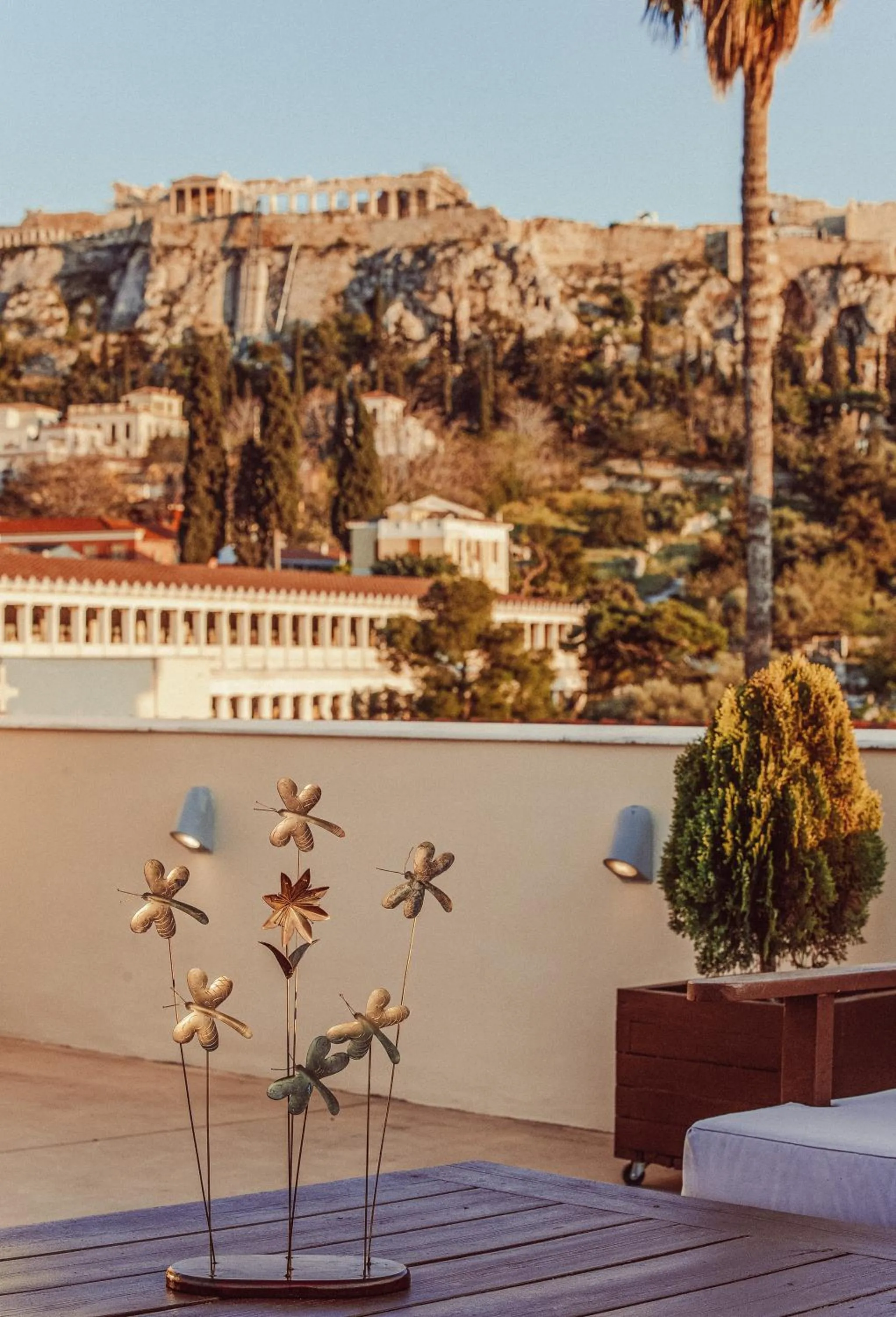 Natural landscape in Suitas