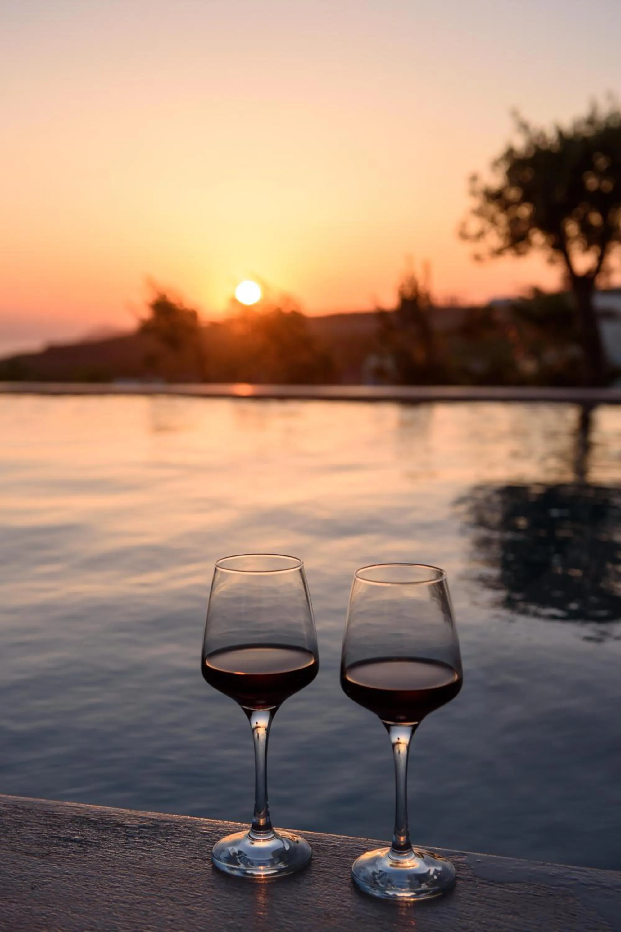 Alcoholic drinks in Albus Villas