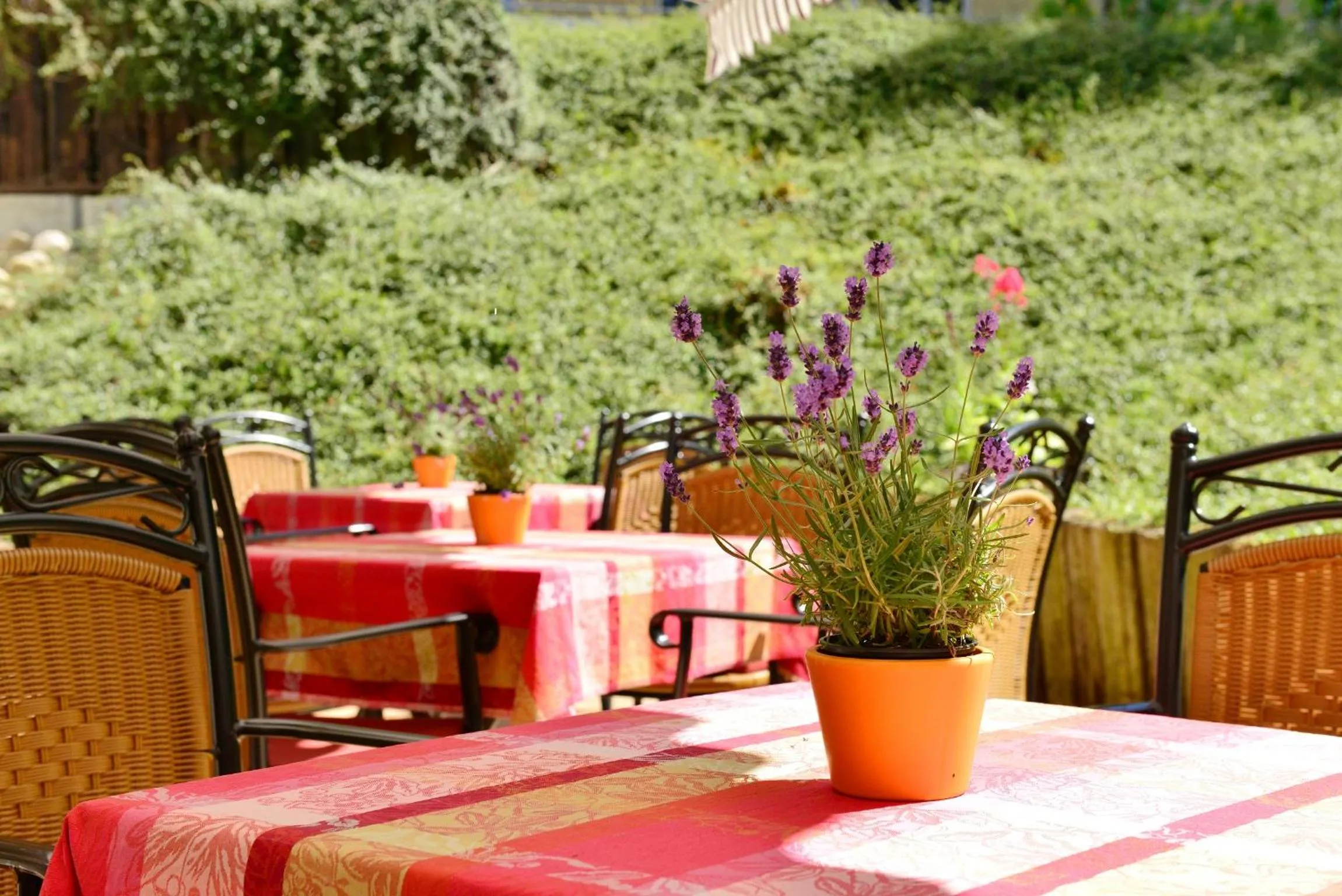 Area and facilities in Hotel Tyrol - Oberstaufen PLUS Partner