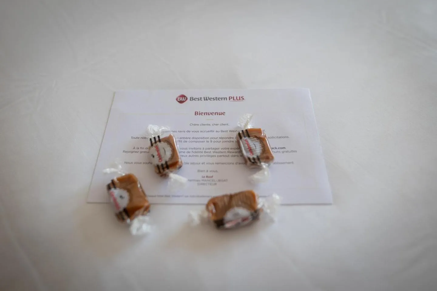 Bedroom in Best Western Plus Le Roof Vannes Bord de Mer