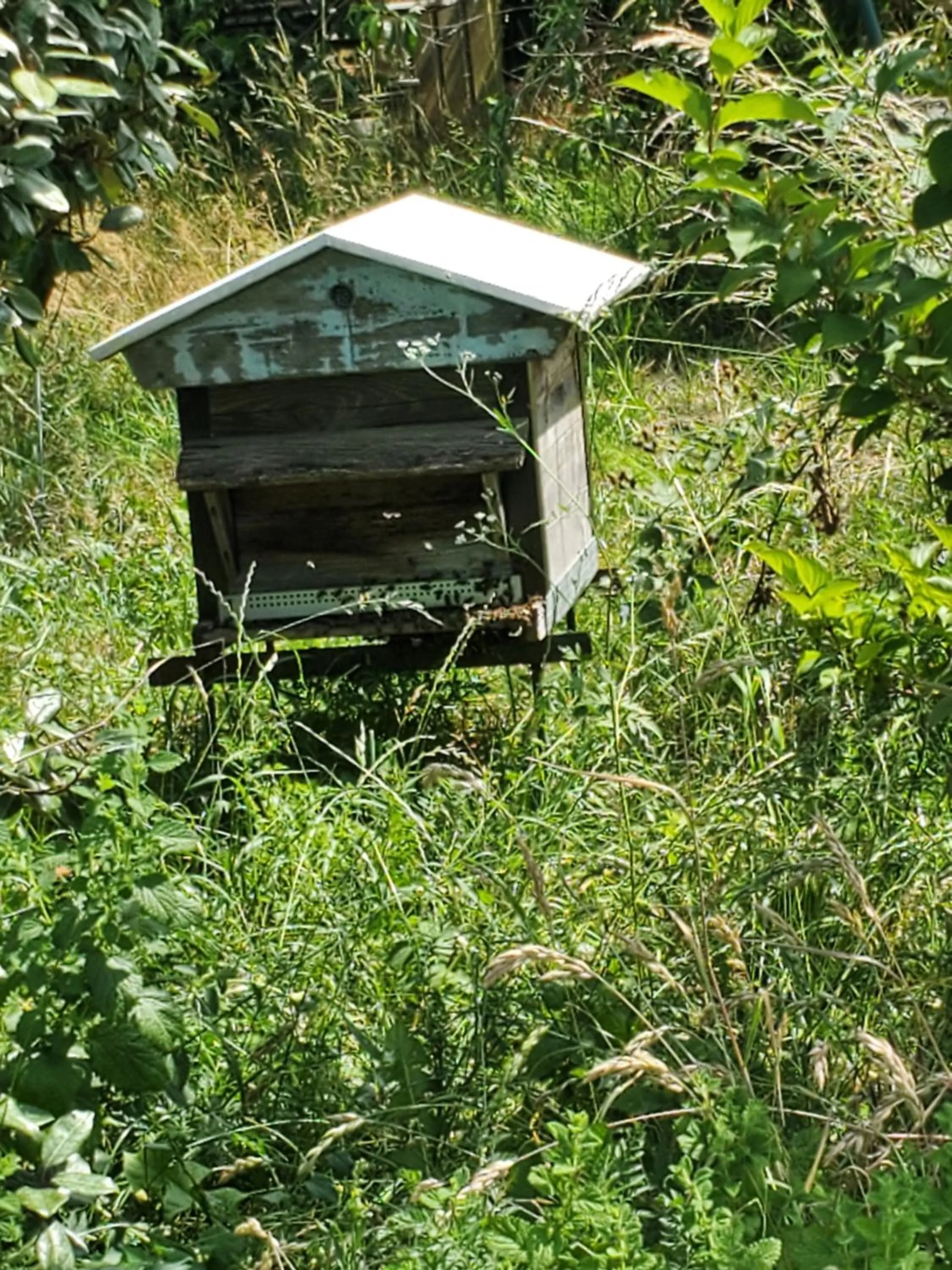 la grange aux hirondelles