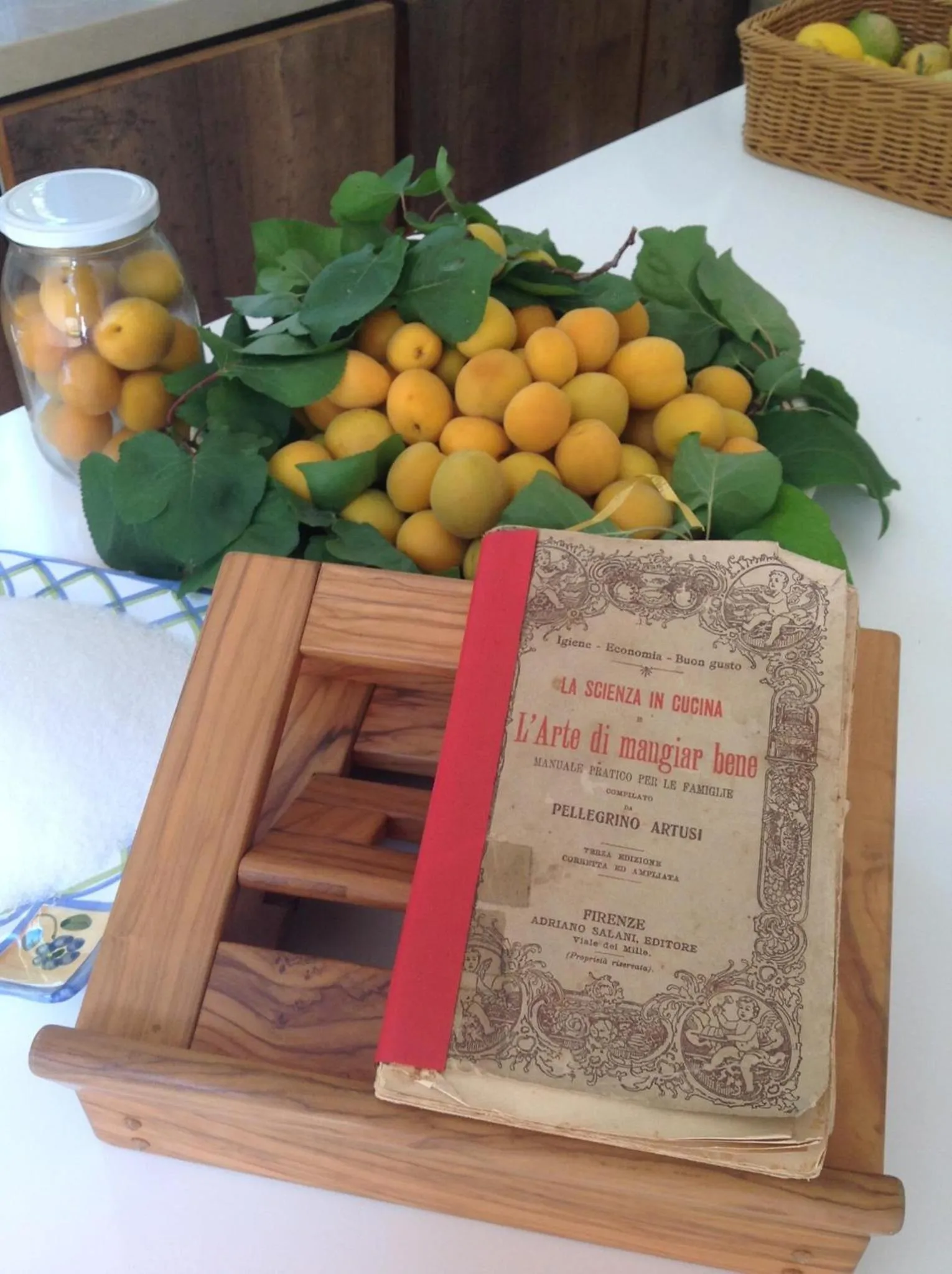 Activities in Giardini Mon Plaisir