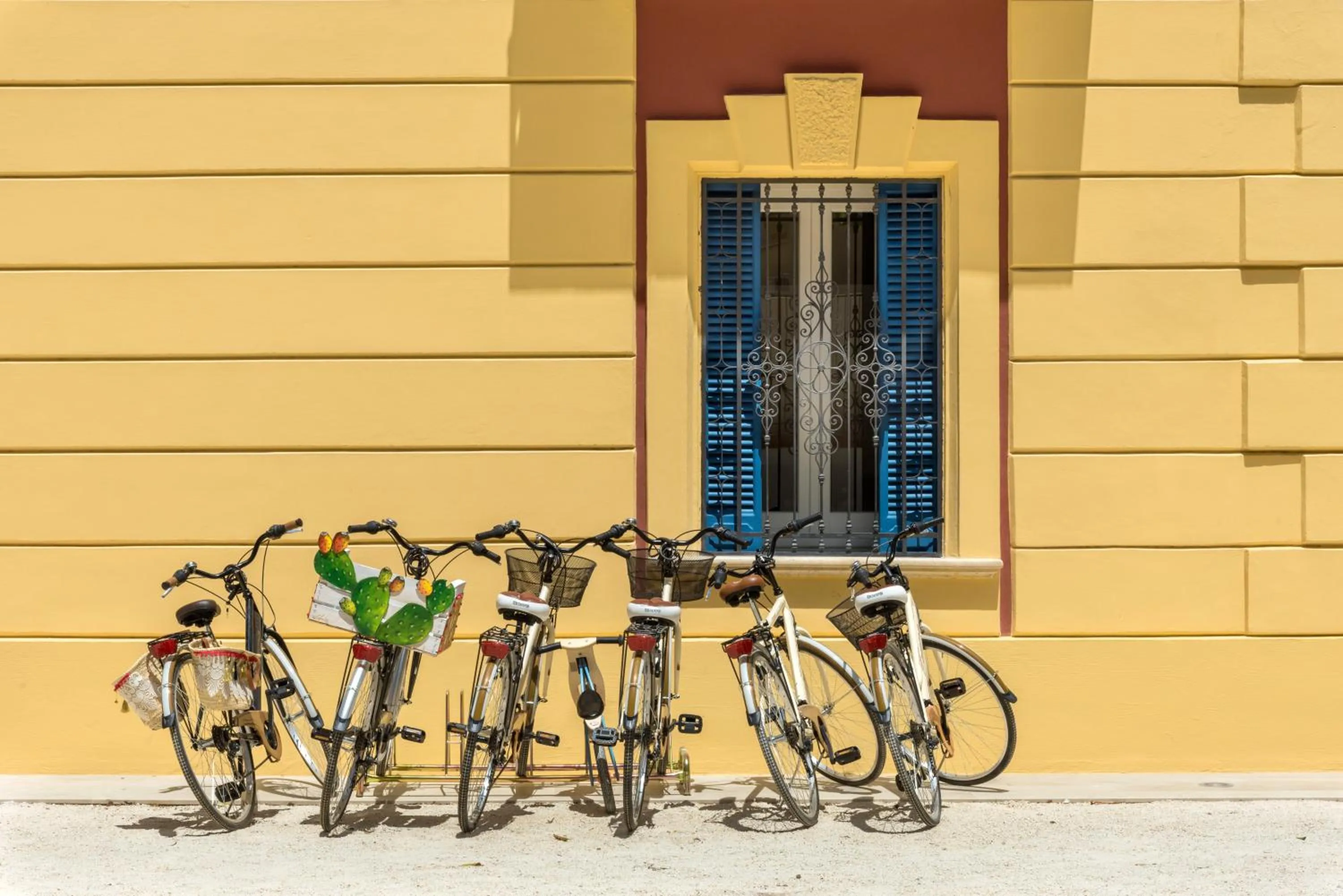 Cycling in Giardini Mon Plaisir
