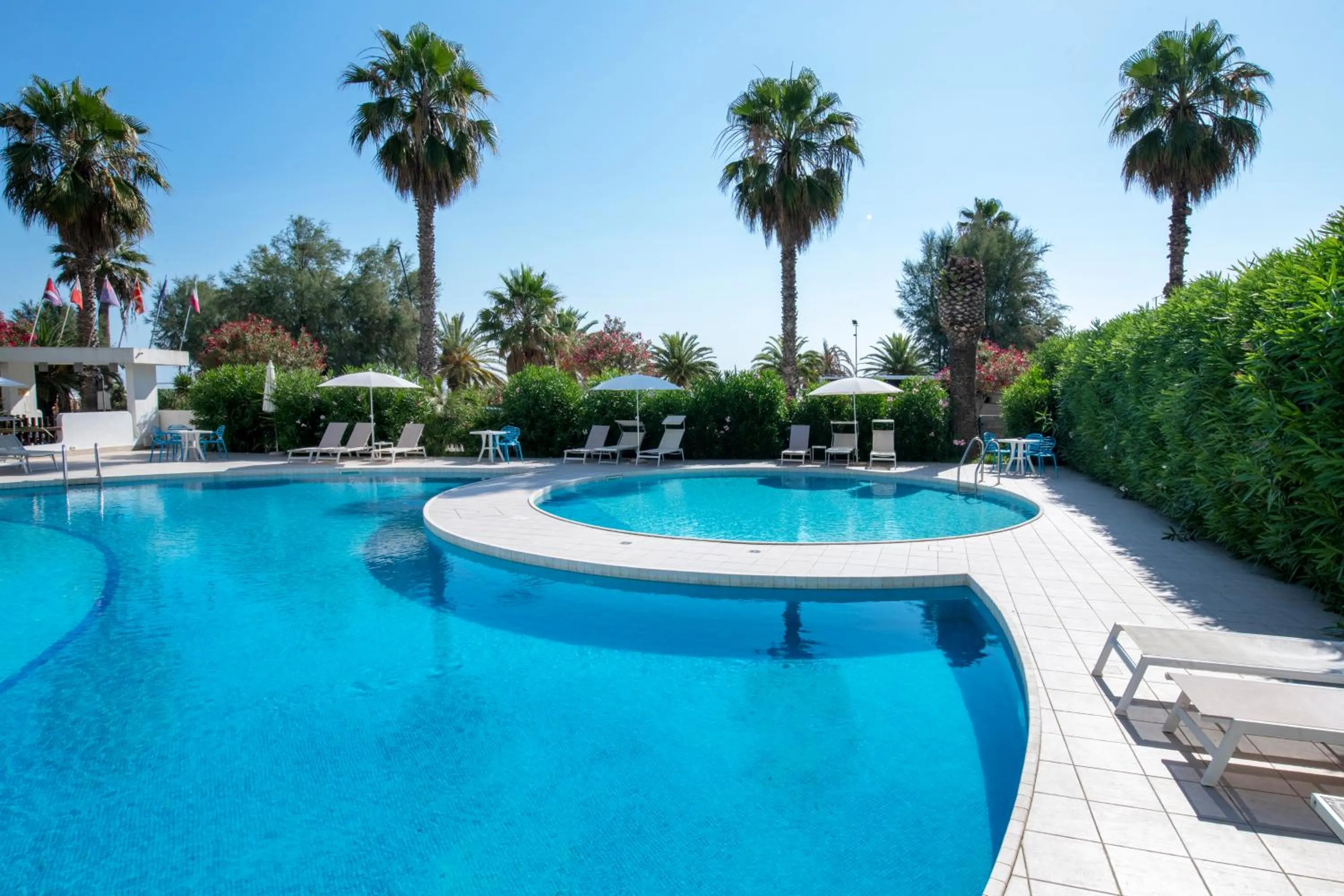 Swimming pool in Hotel International