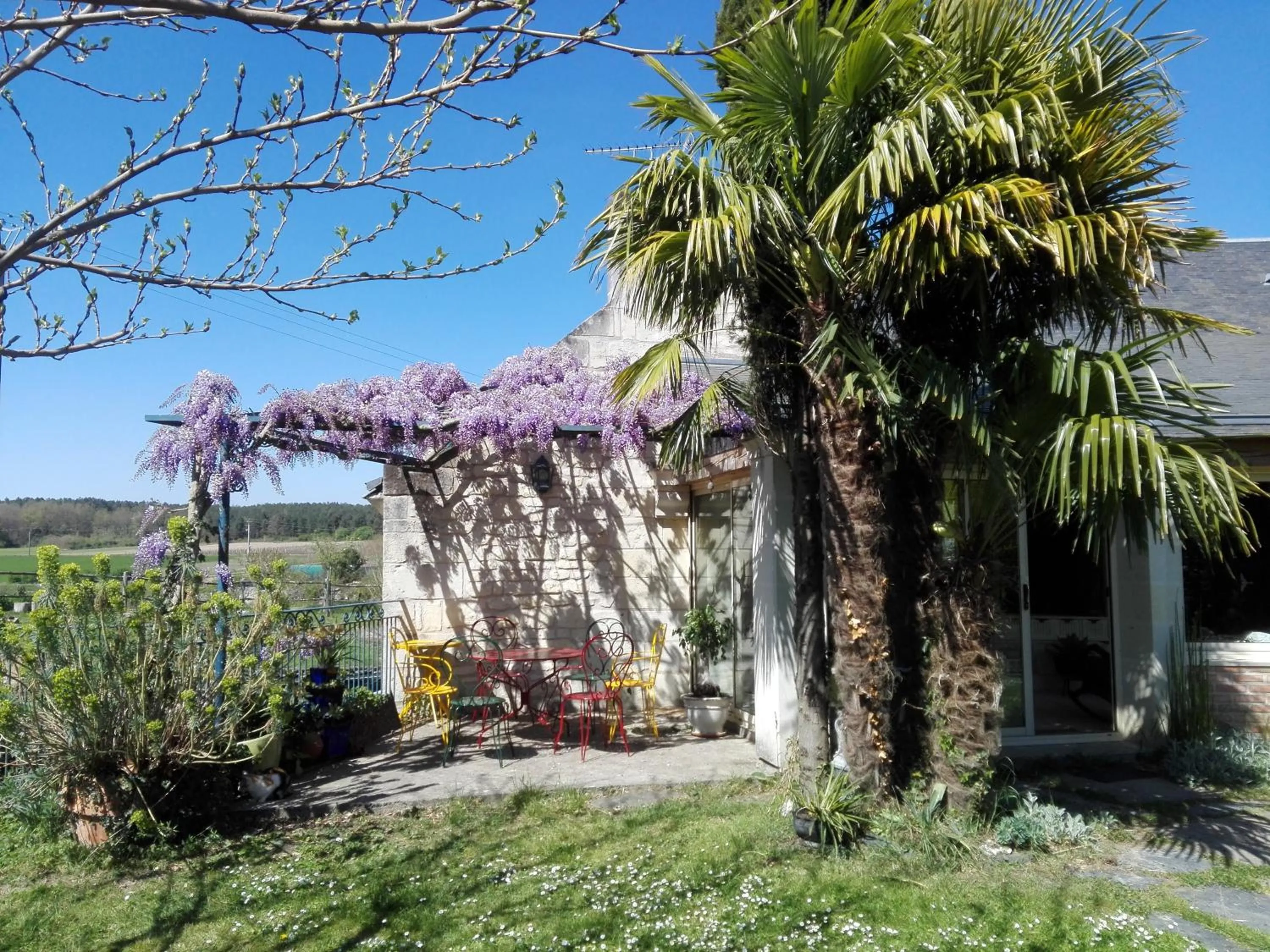 Garden view in La Motelle N 5