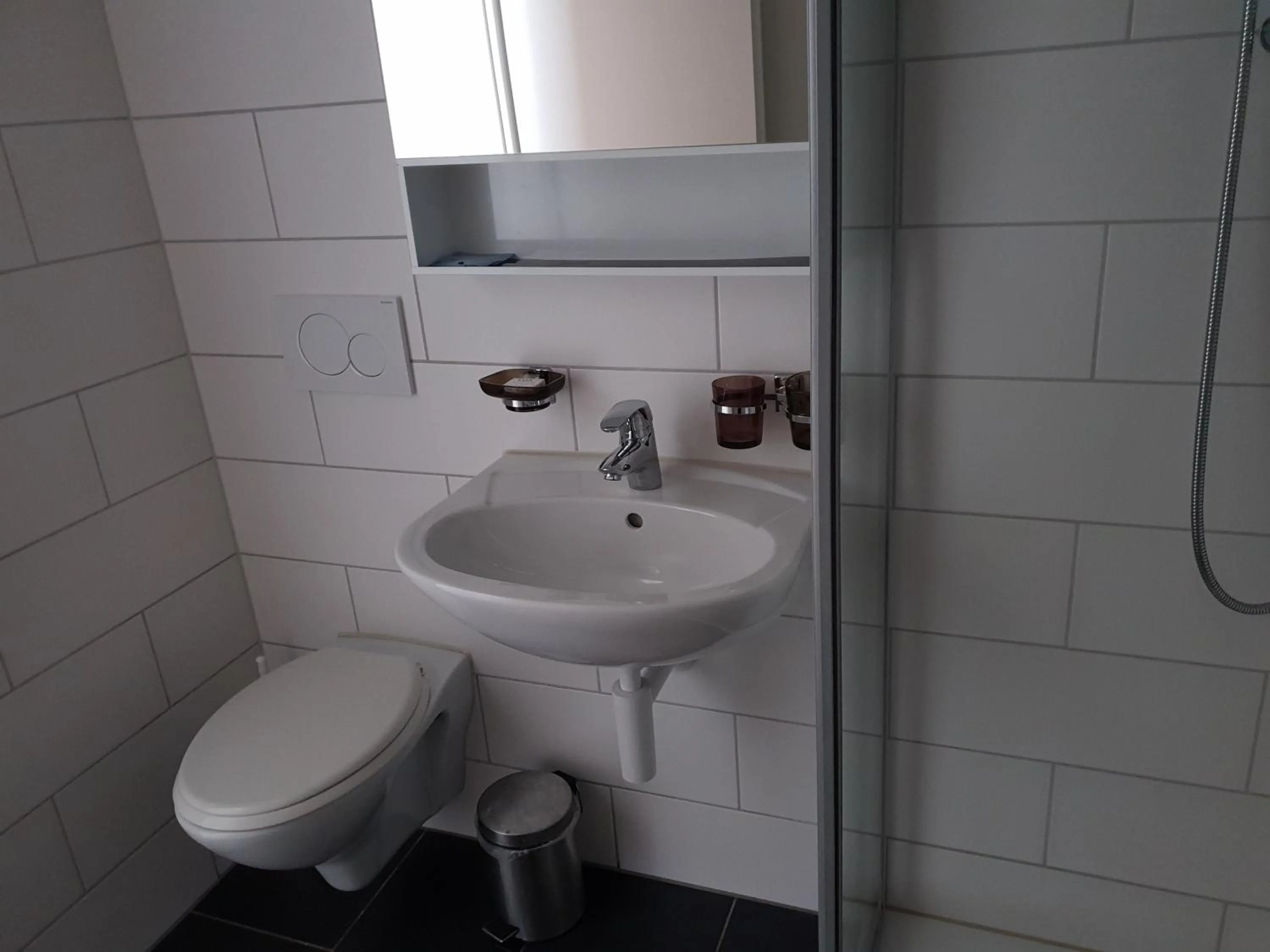 Swiss Chalet Holidays Ringgenberg