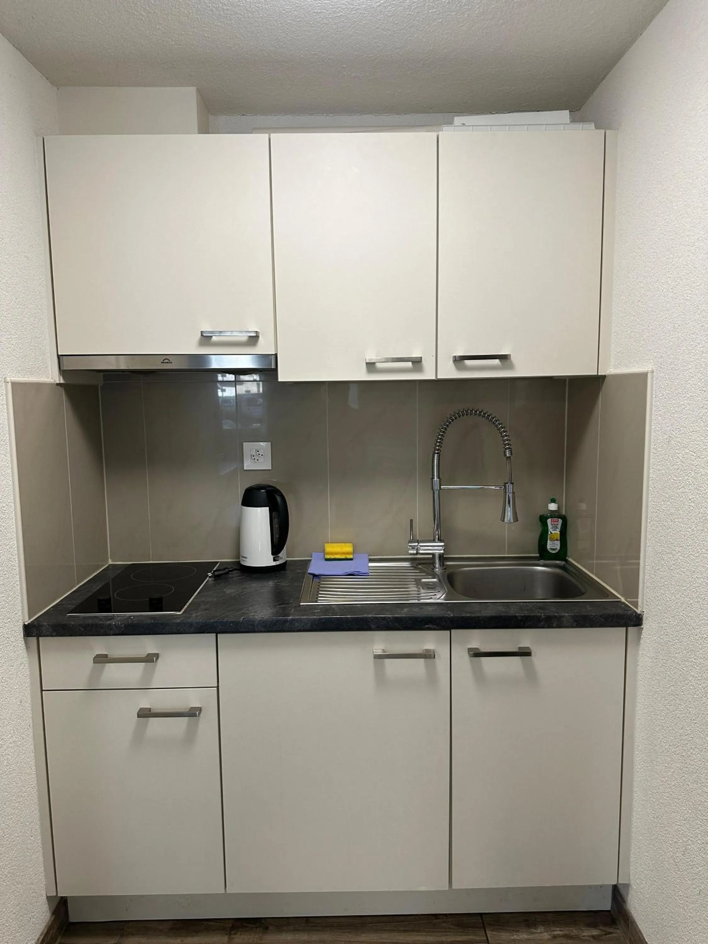 Swiss Chalet Holidays Ringgenberg