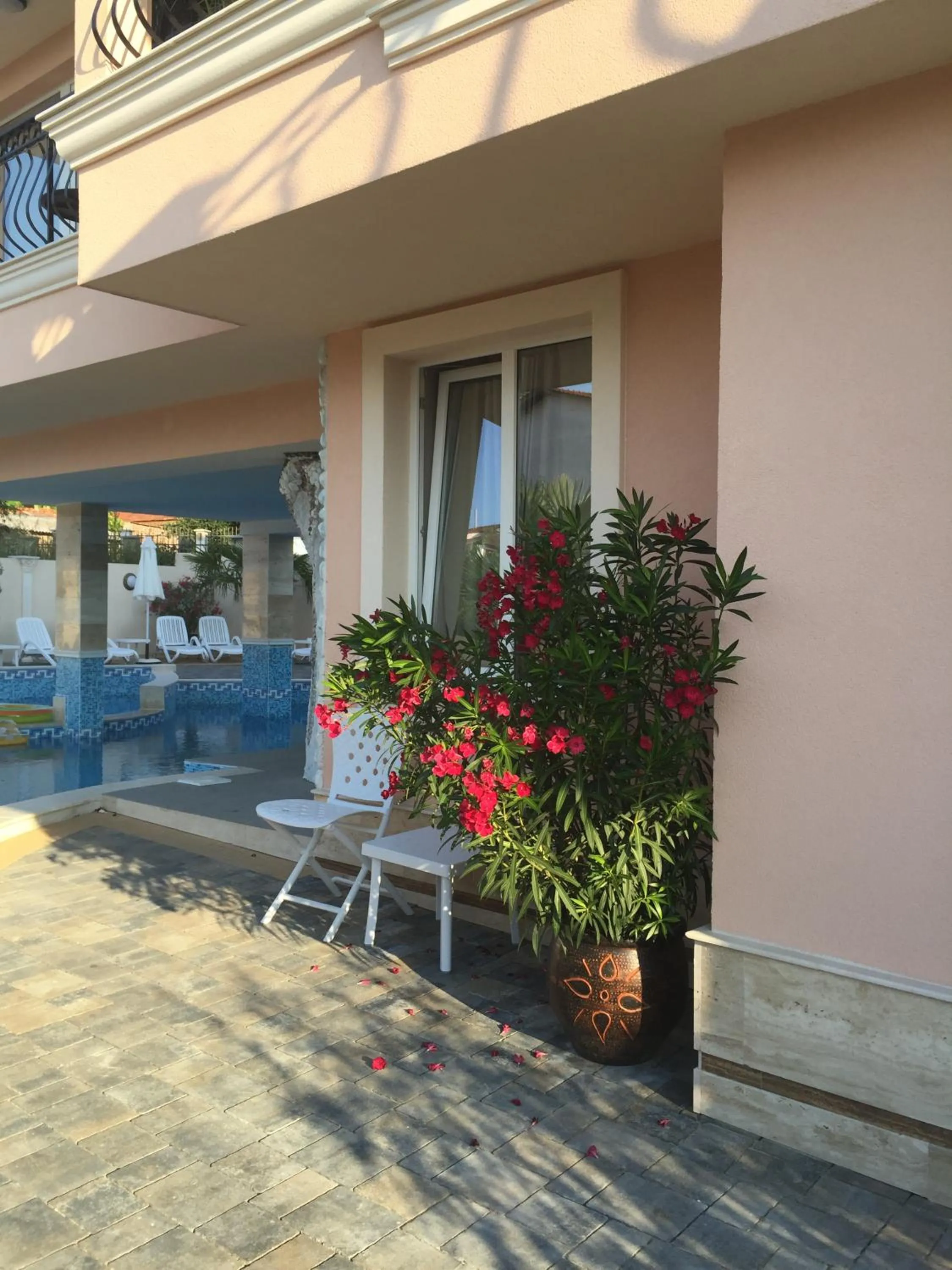 Garden in Sirena Palace Family Hotel