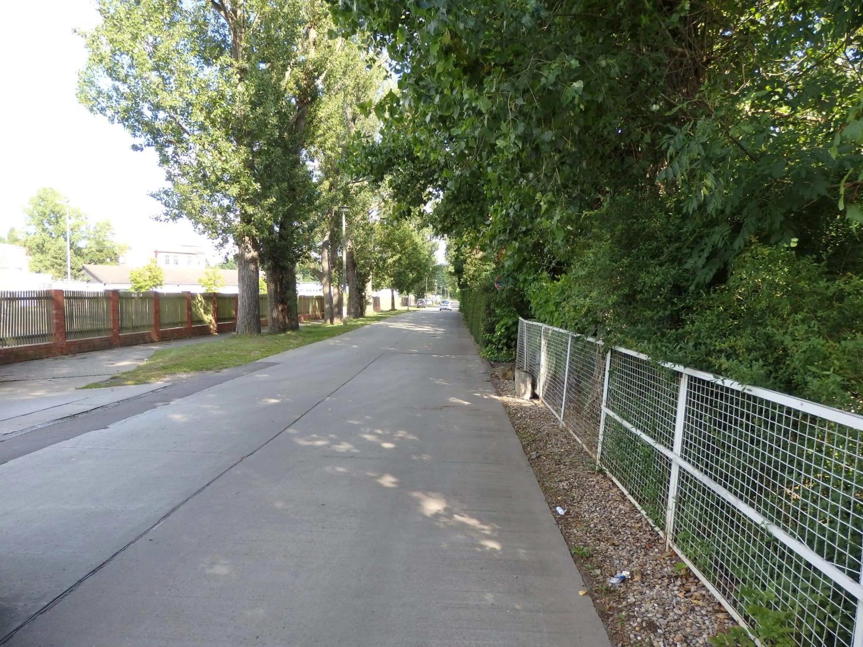 Street view in Zur Saale