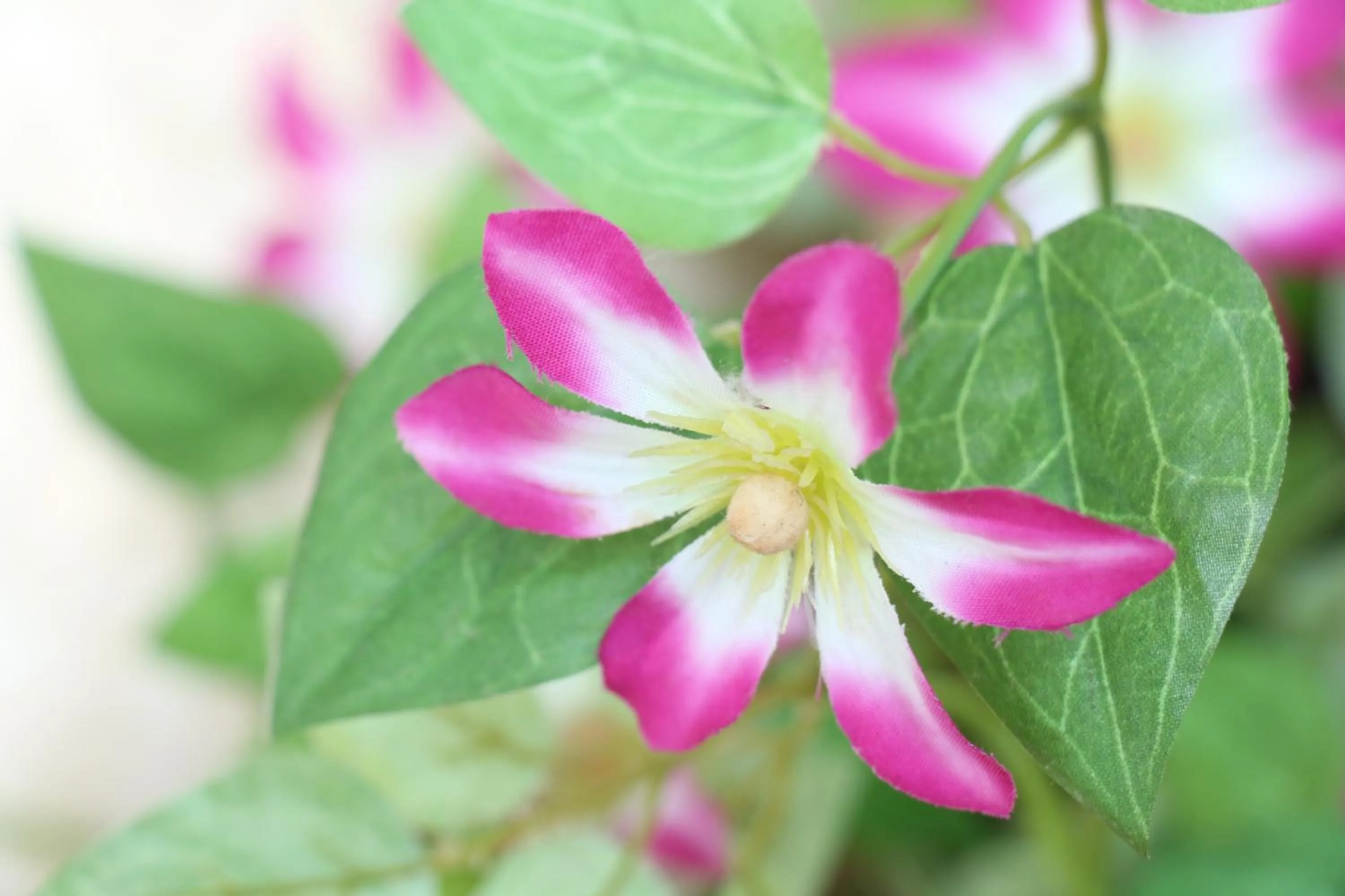 Decorative detail in Sun Flower City Hotel