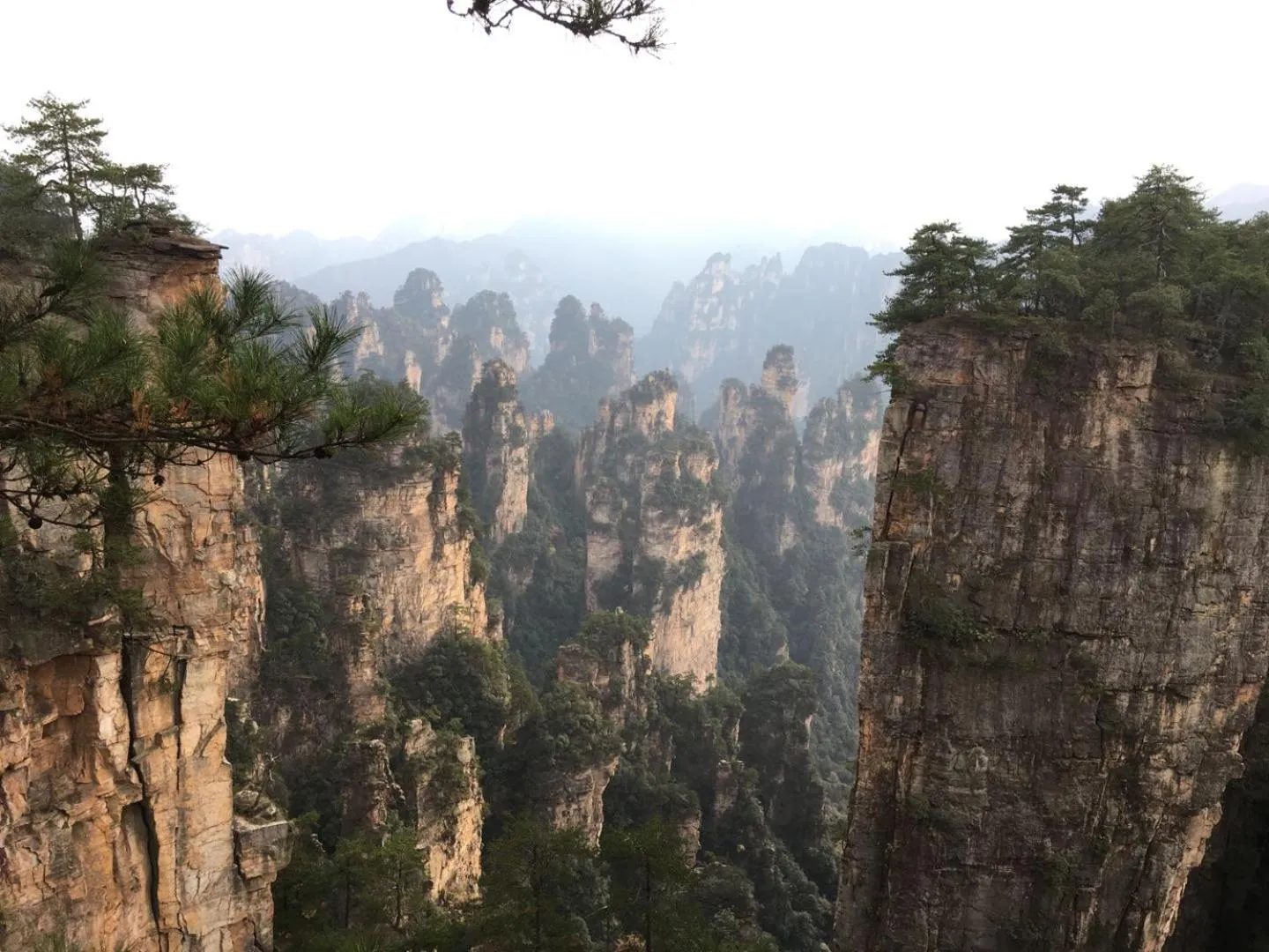 Natural landscape in Zhangjiajie Highlights Guesthouse