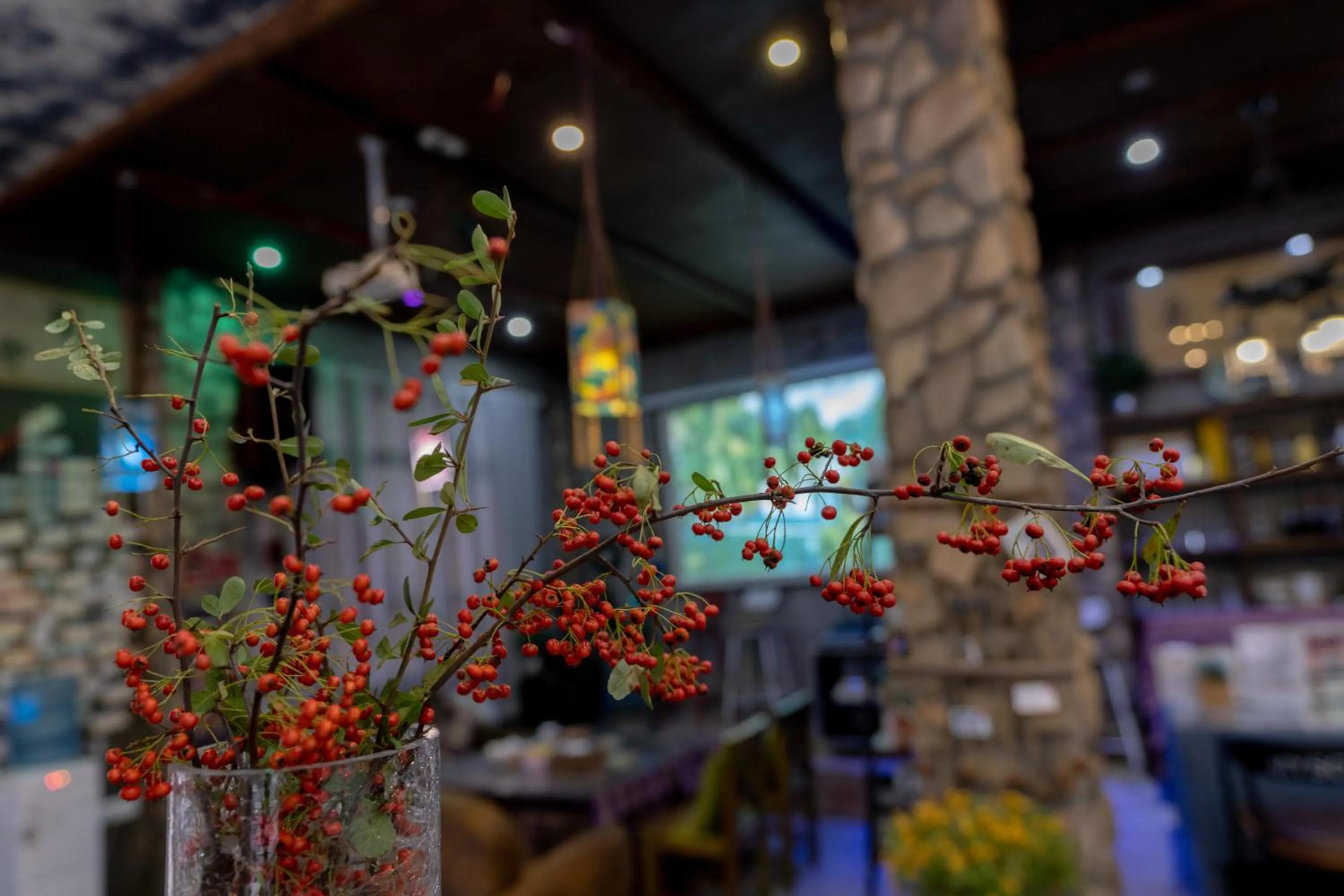 Library in Zhangjiajie Highlights Guesthouse