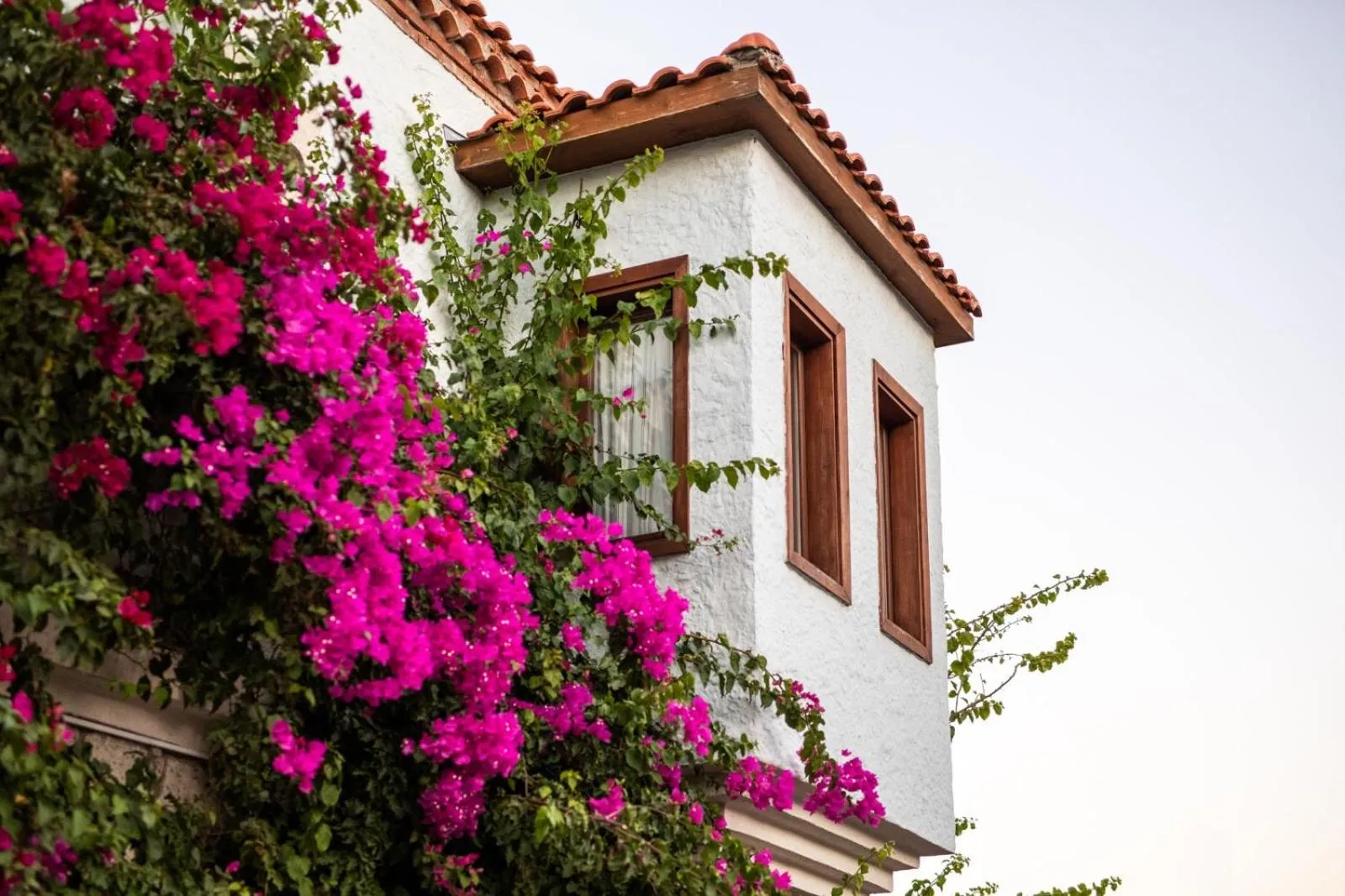 Property building in Jakamar Alacati