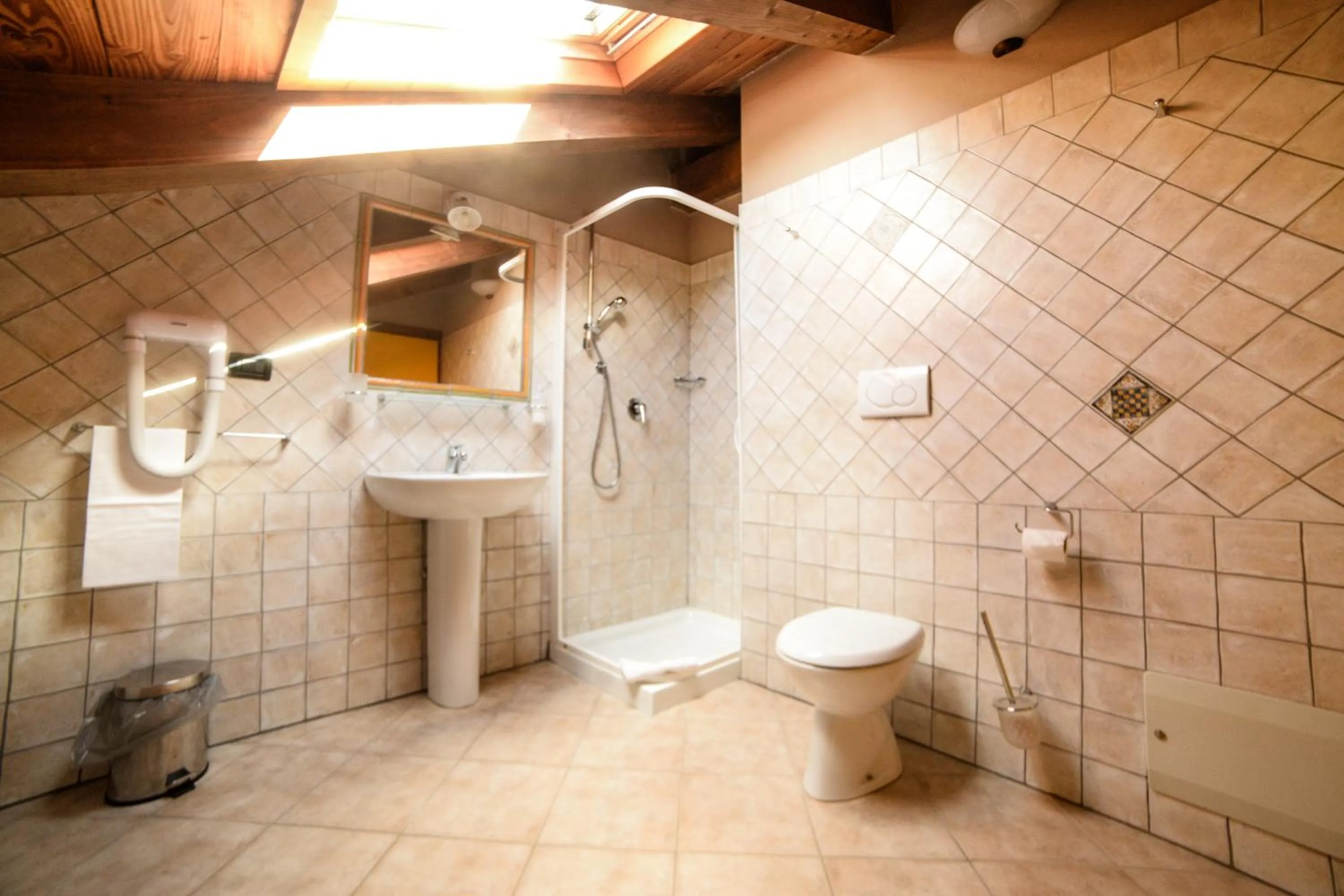 Shower in Chalet Della Guida