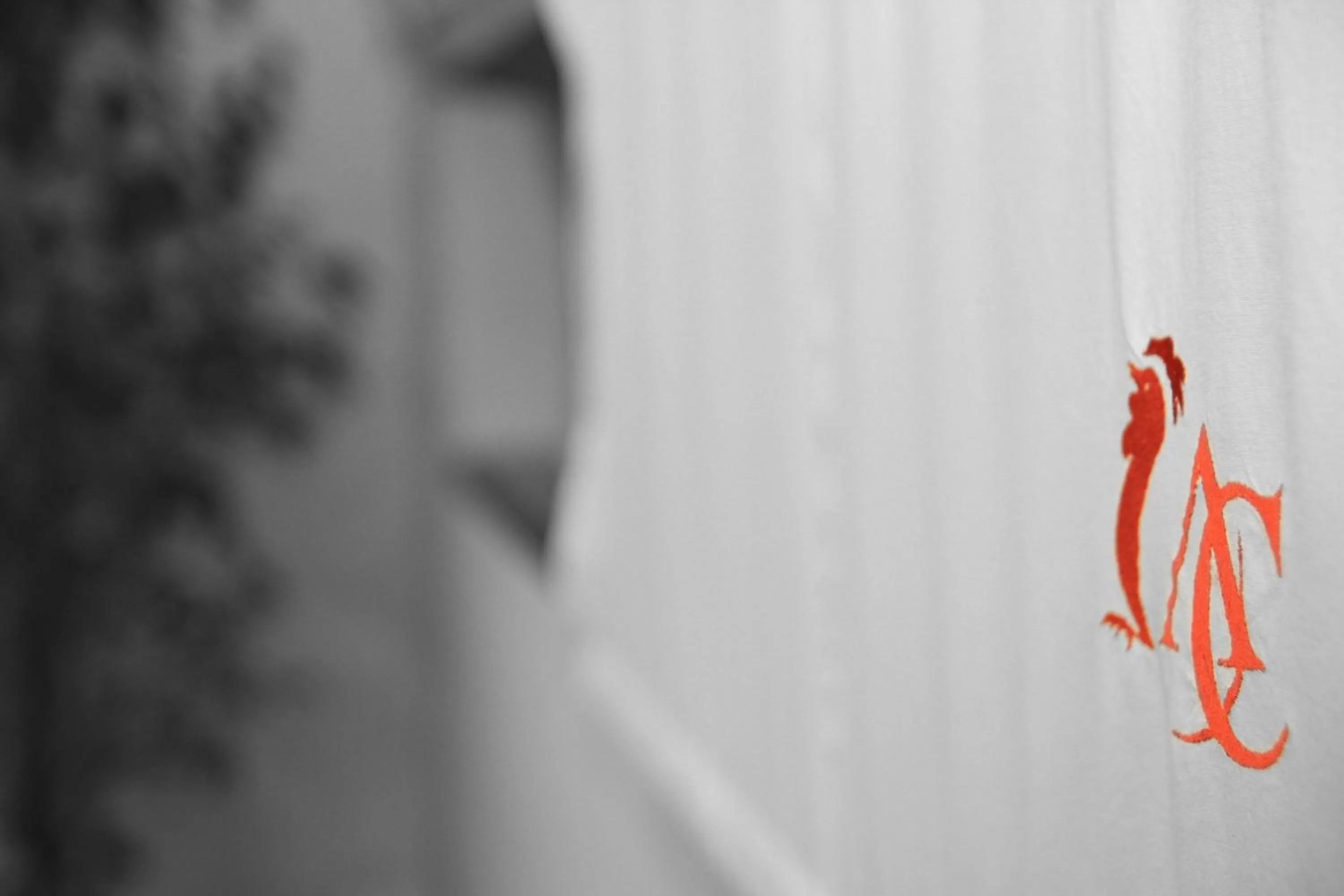 Property logo or sign in Albergo della Ceramica