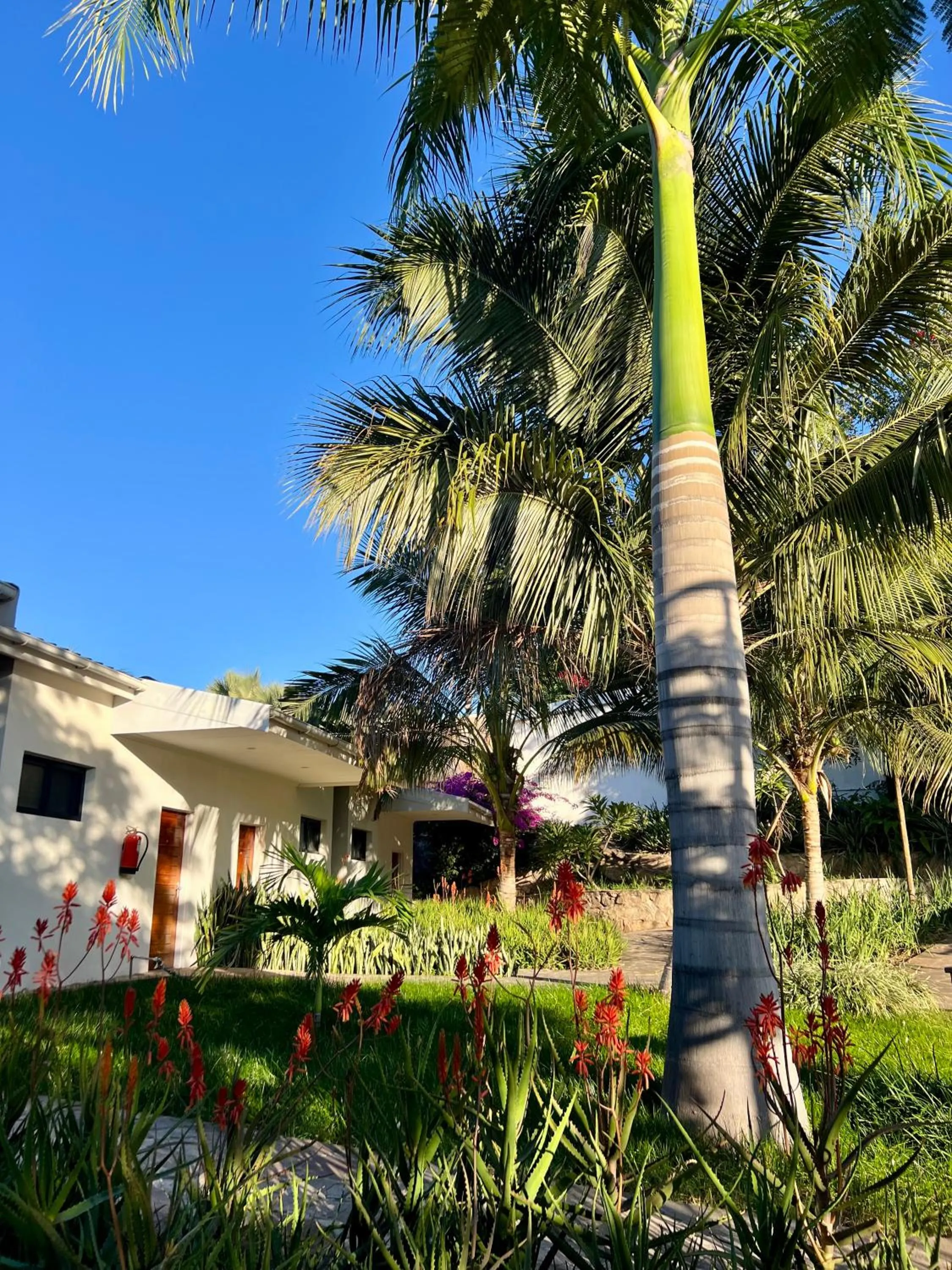 Property building in Lake Kariba Inns