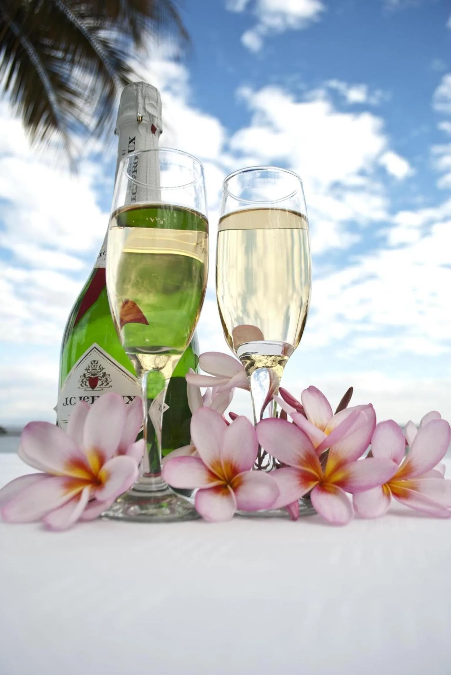 Drinks in Lake Kariba Inns