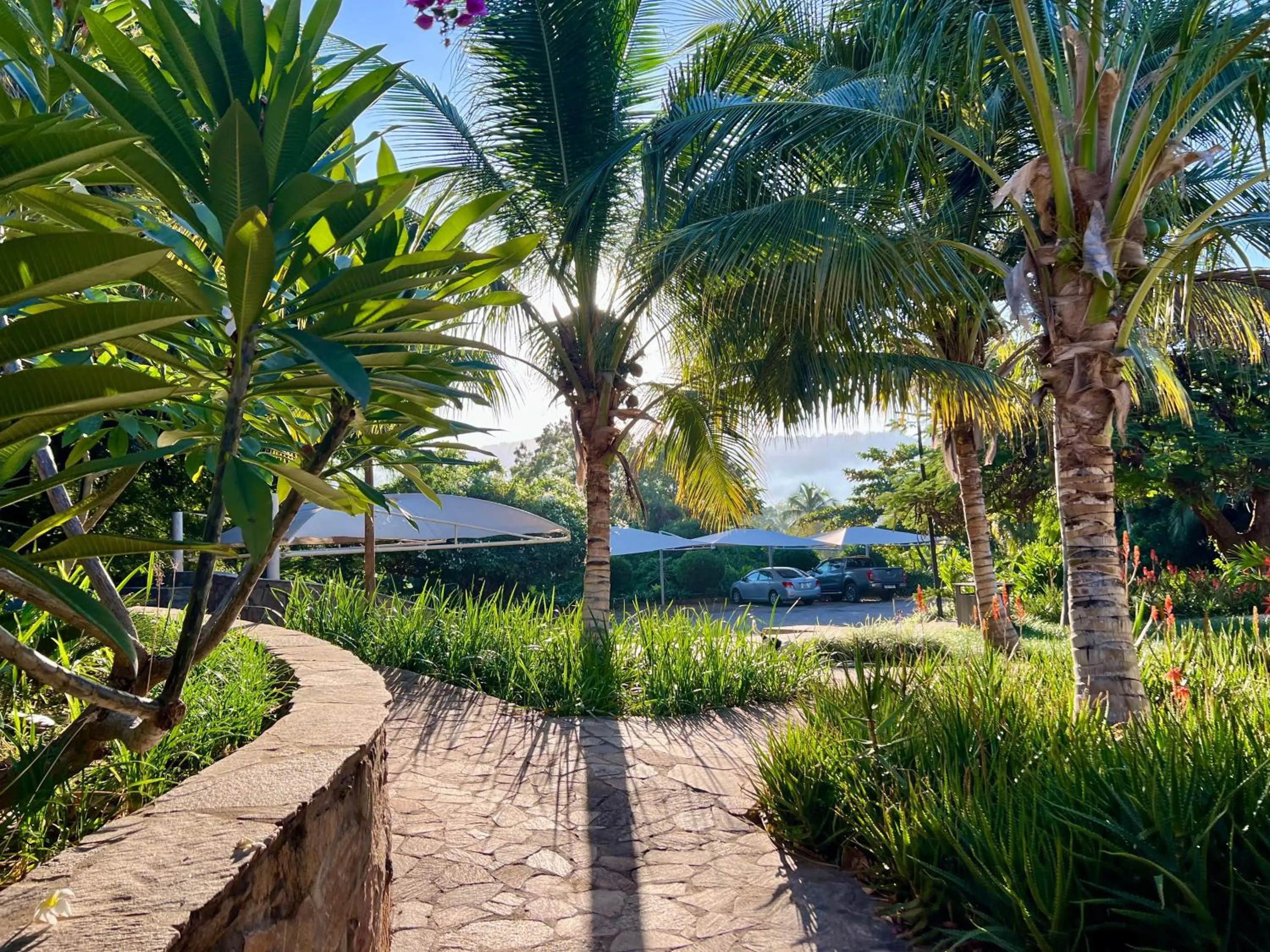 Garden in Lake Kariba Inns
