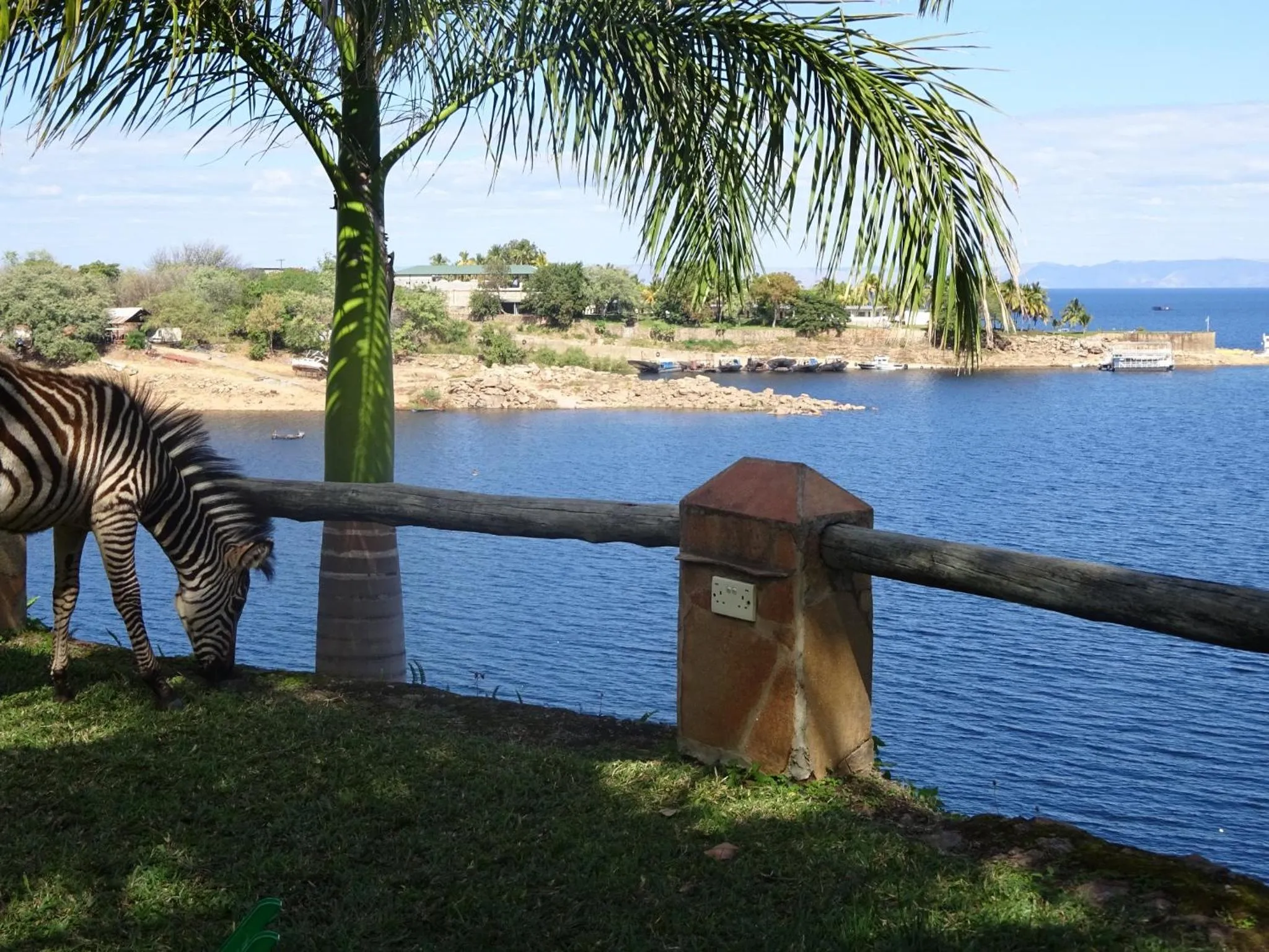 Animals in Lake Kariba Inns