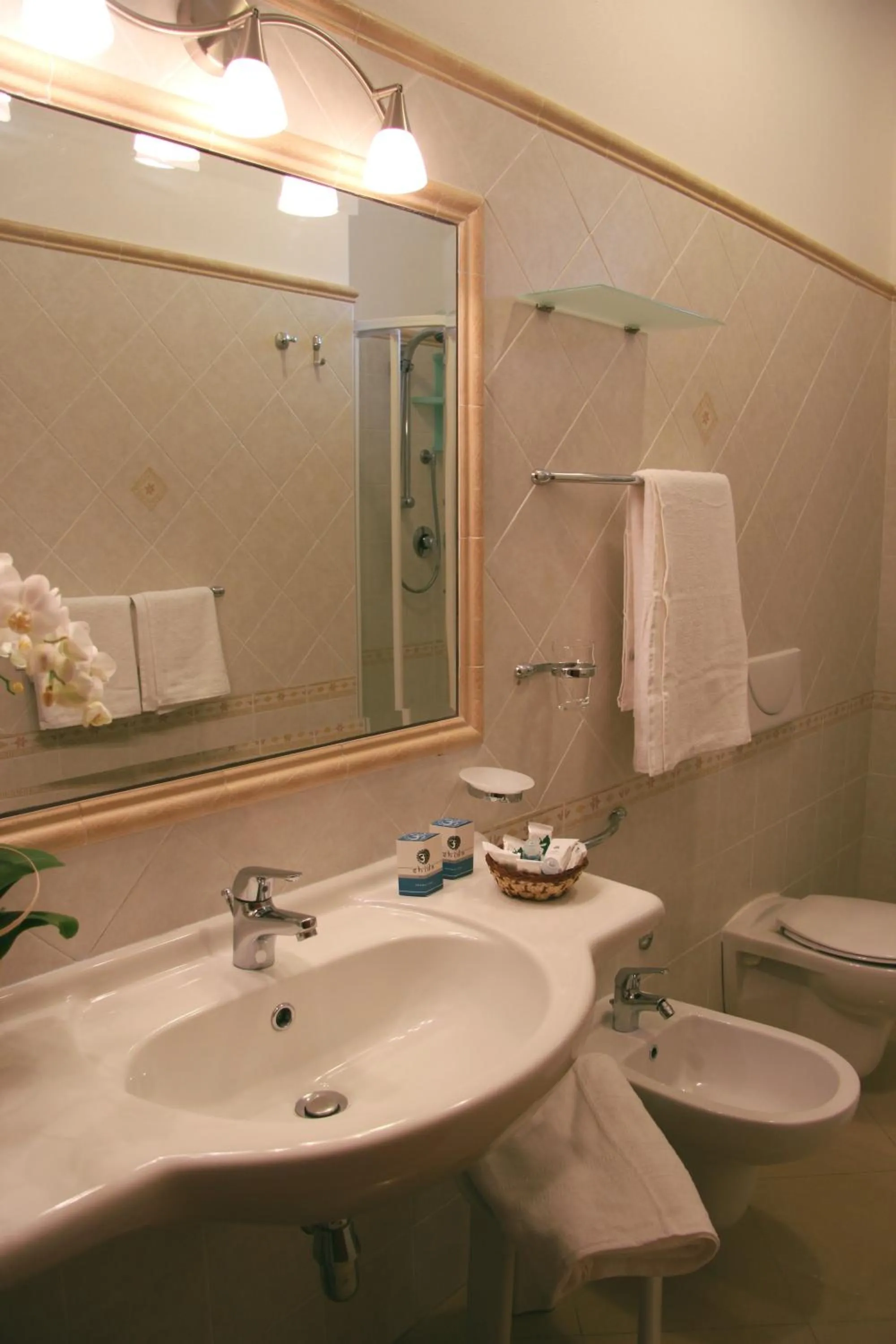 Shower in Hotel Residence Piccolo