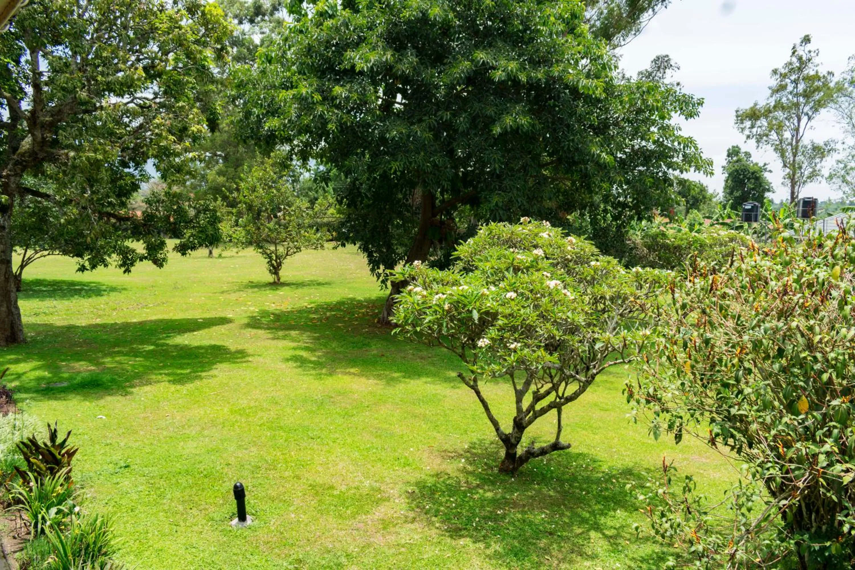 Garden in Mountains of the Moon Hotel Fort Portal