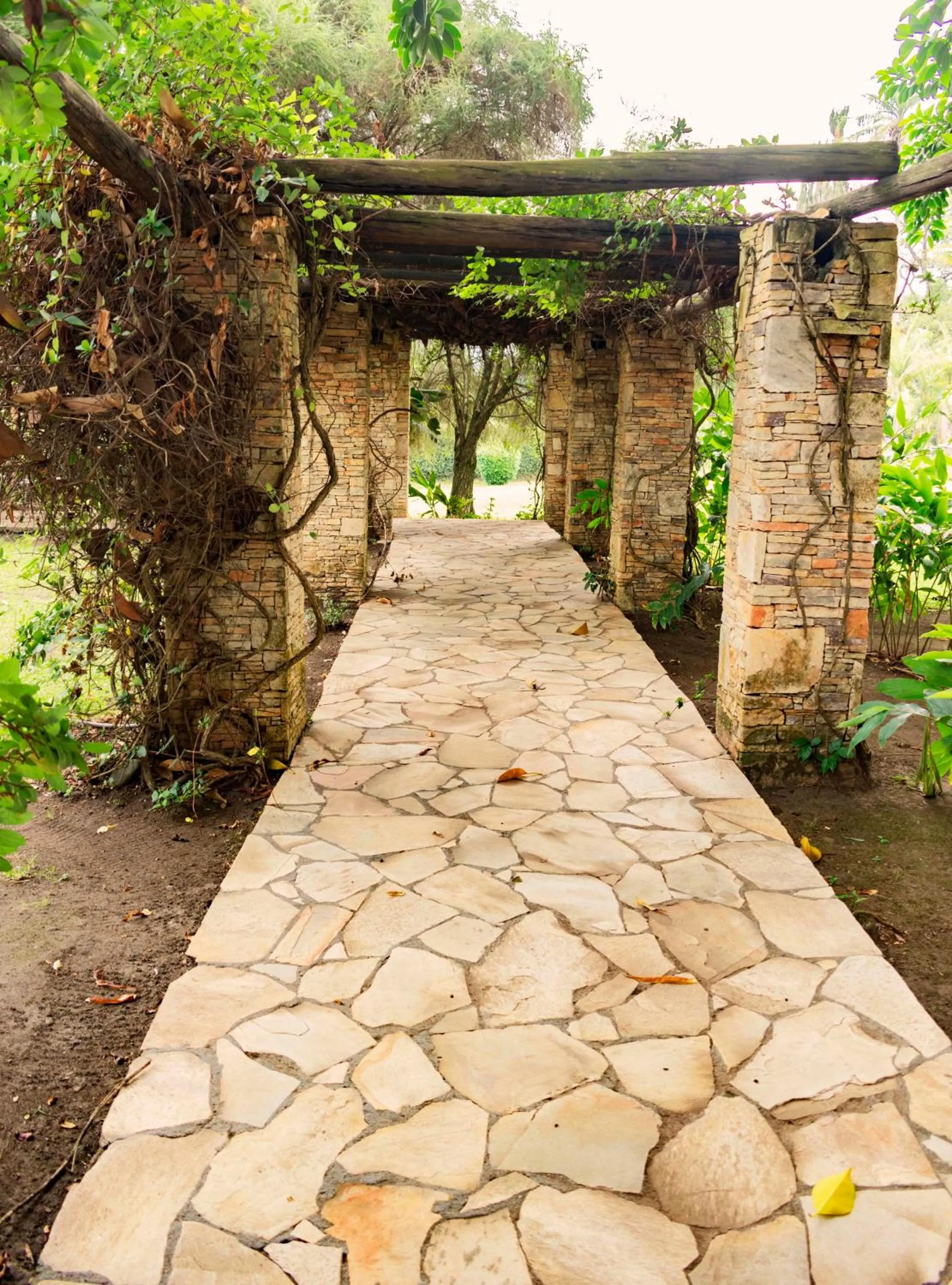 Garden in Mountains of the Moon Hotel Fort Portal