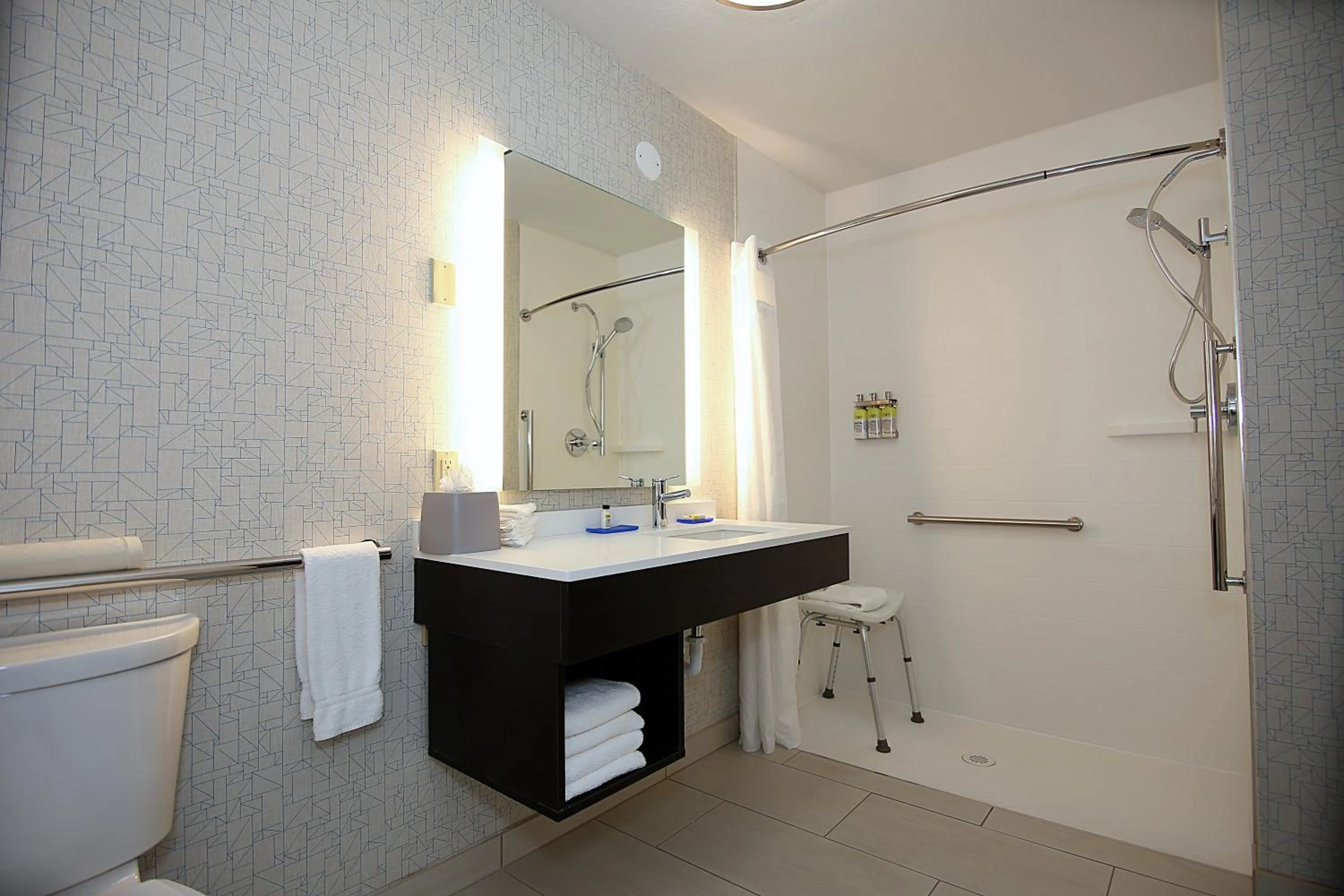 Bathroom in Holiday Inn Express Hotel & Suites Ashland by IHG