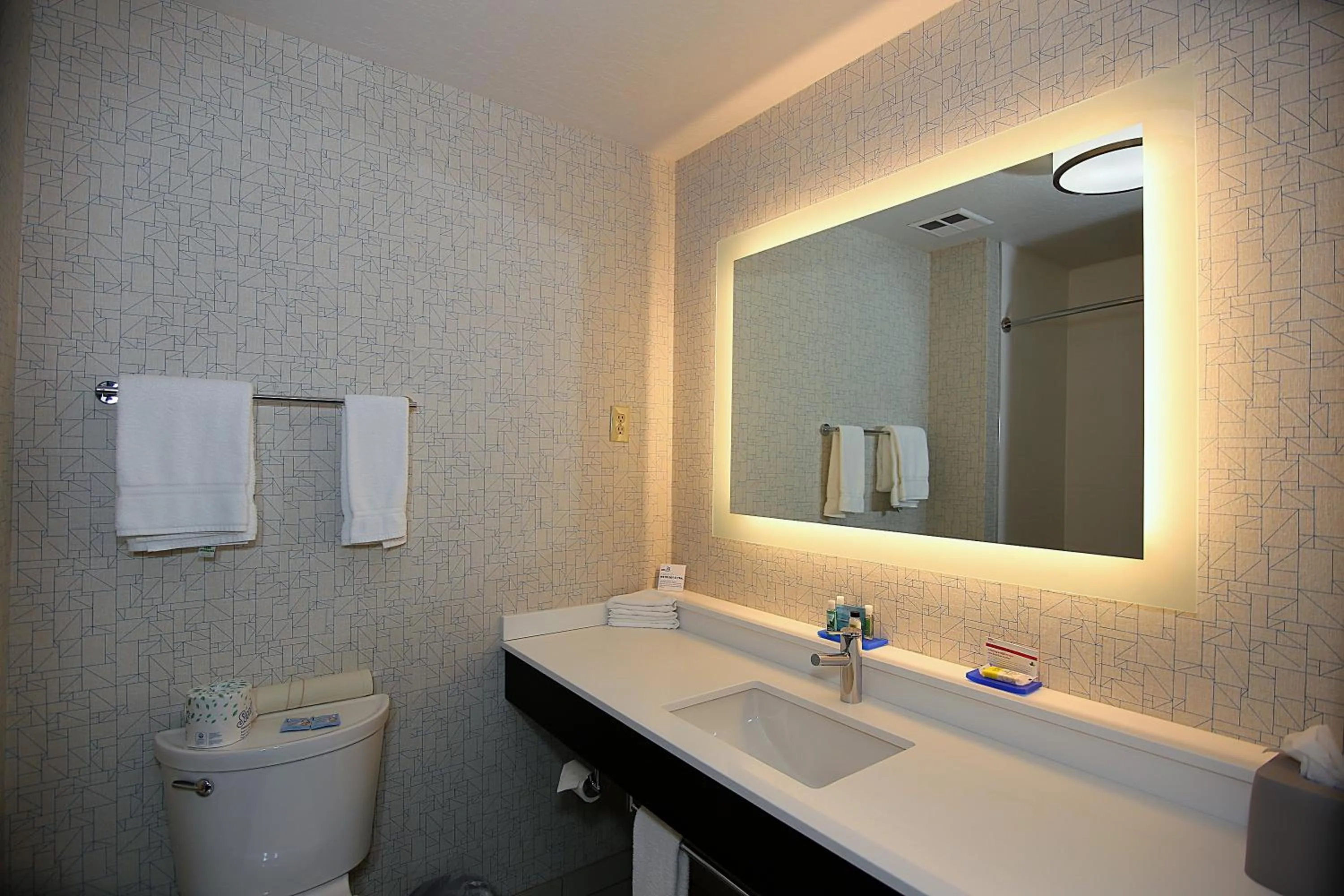 Bathroom in Holiday Inn Express Hotel & Suites Ashland by IHG