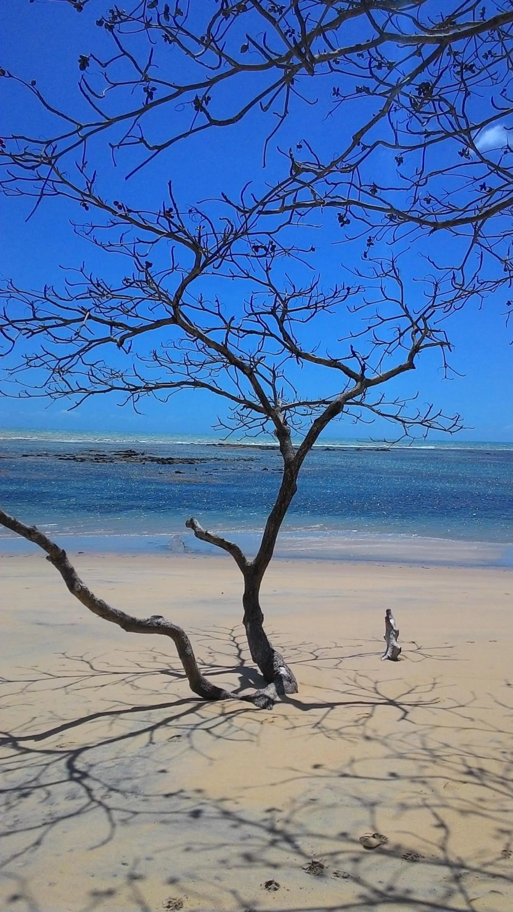 Beach in Pousada Jambrero