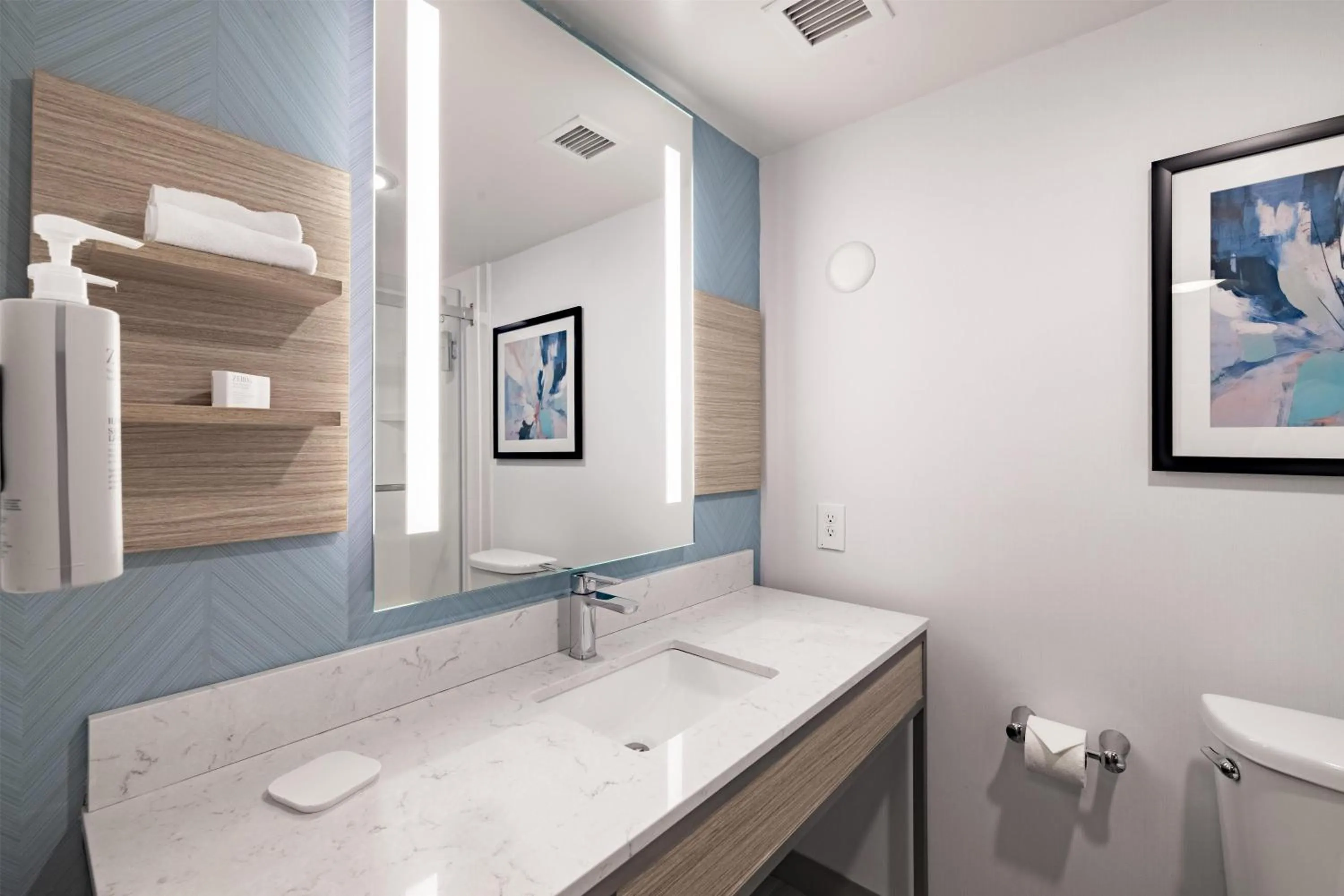 Bathroom in Hilton Garden Inn Albany