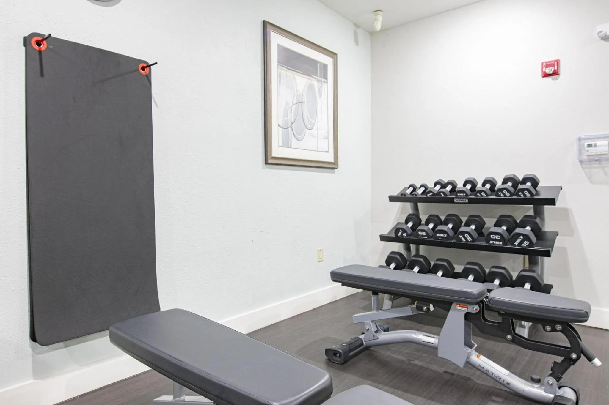 Fitness centre/facilities in Staybridge Suites Lafayette-Airport by IHG