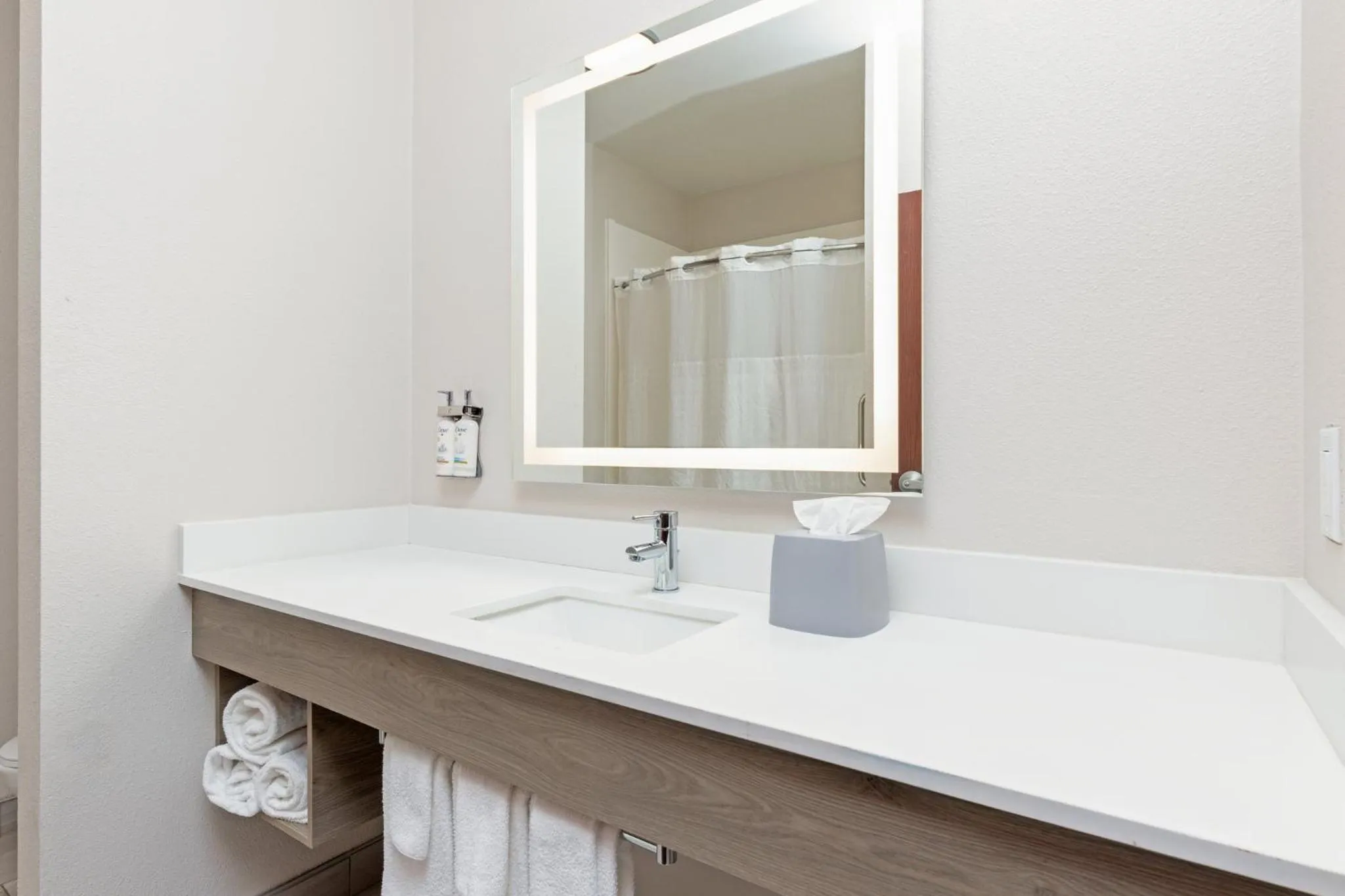 Bathroom in Holiday Inn Express Hotel and Suites Athens by IHG