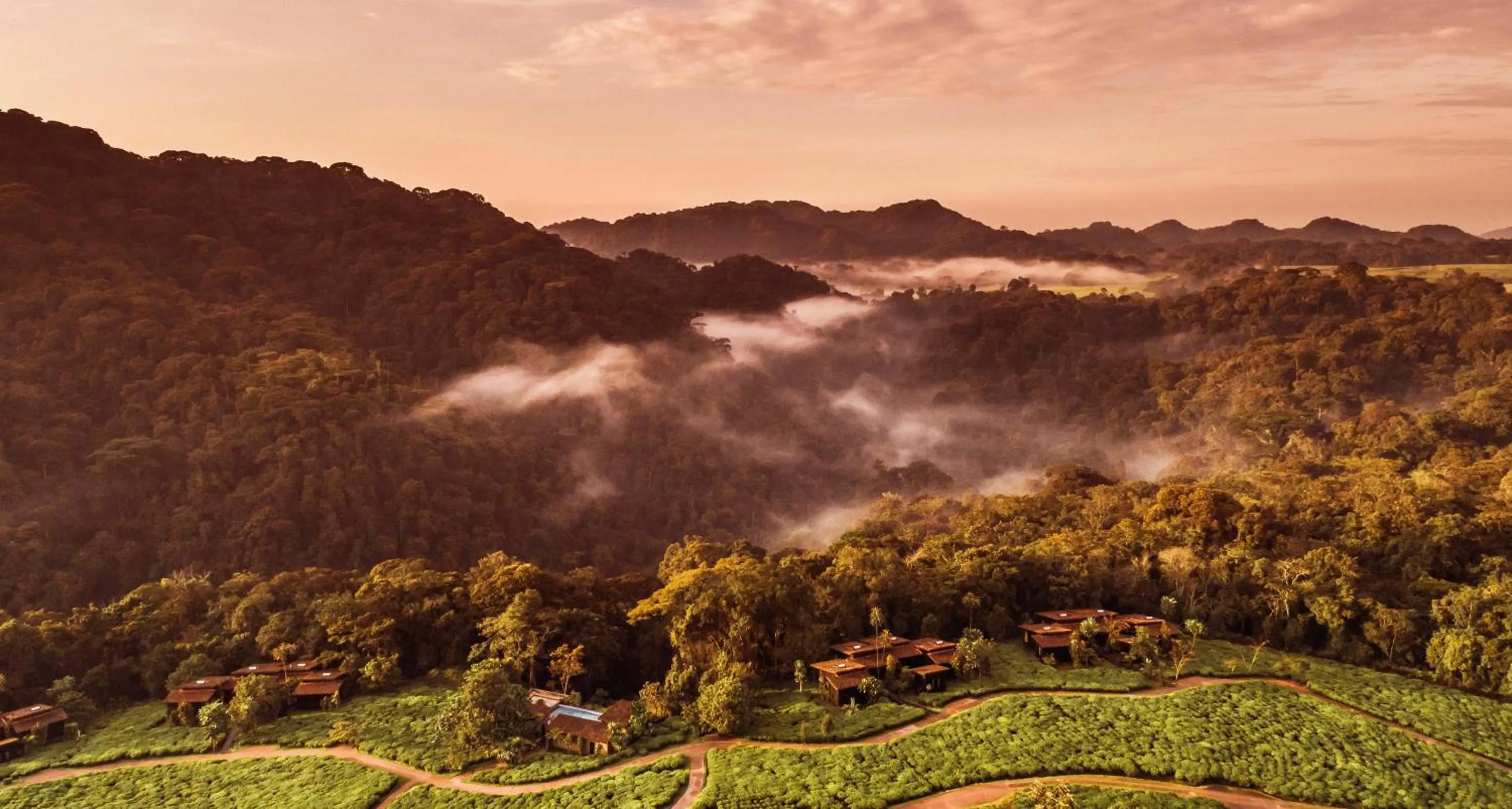 Natural landscape in One&Only Nyungwe House