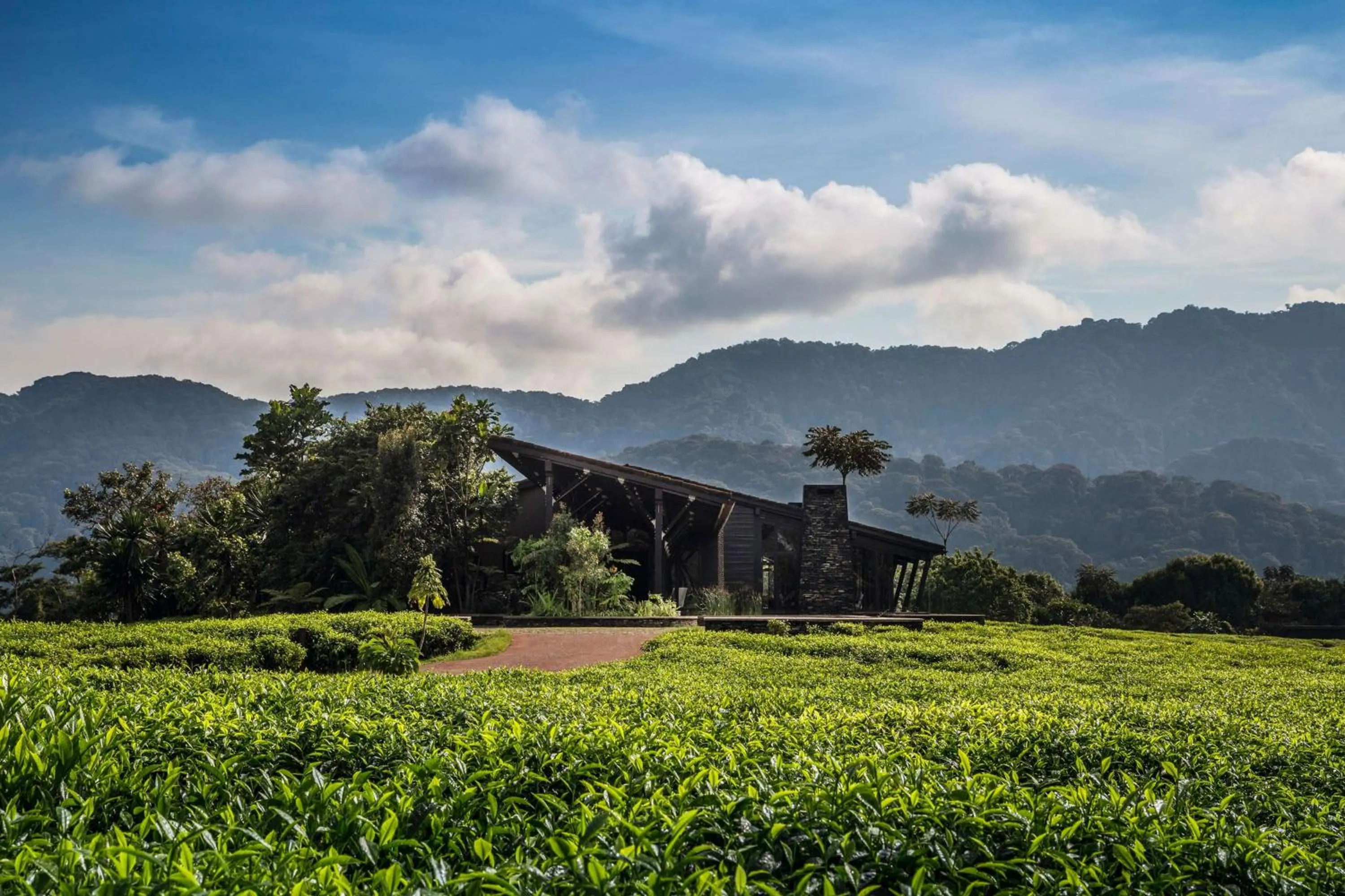 Natural landscape in One&Only Nyungwe House