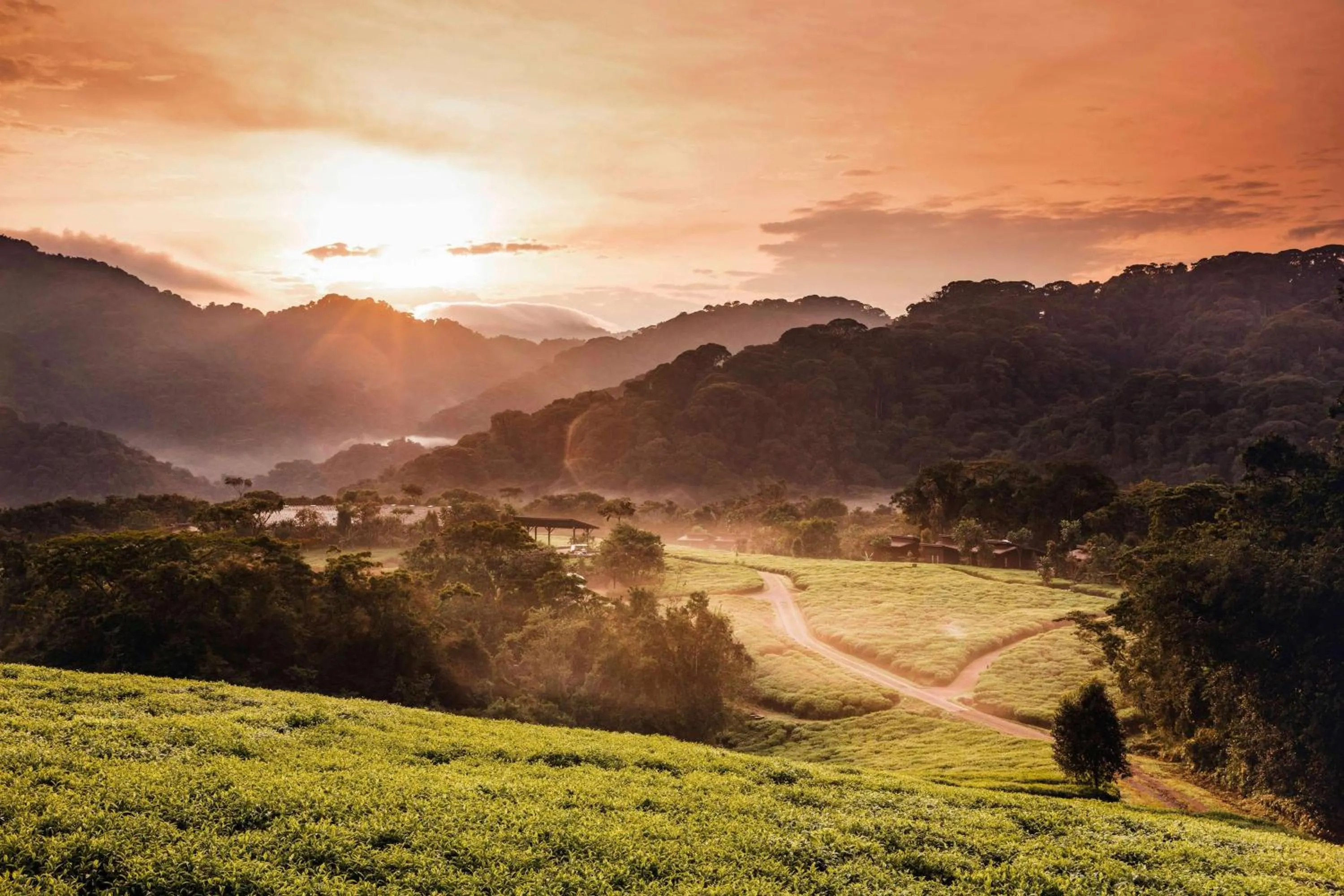 Natural landscape in One&Only Nyungwe House