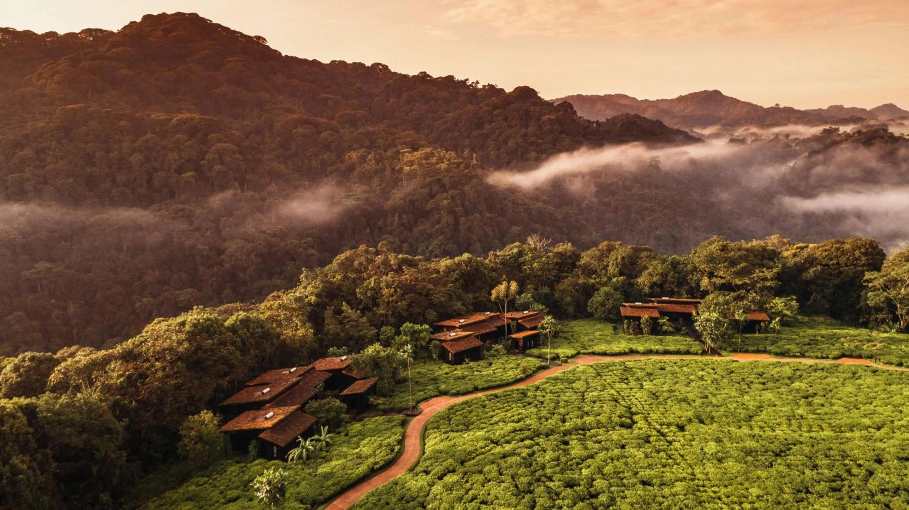 Natural landscape in One&Only Nyungwe House