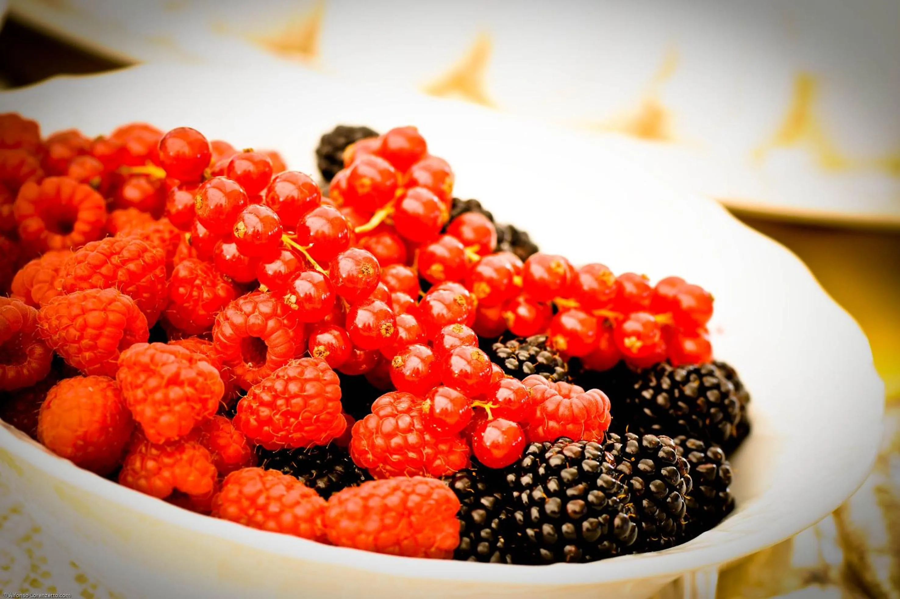 Restaurant/places to eat in Best Western Premier BHR Treviso Hotel