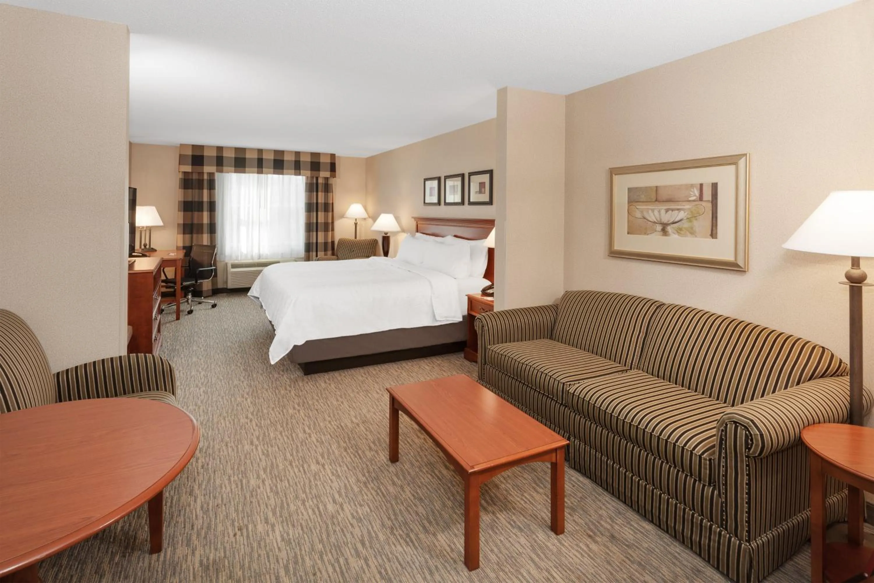 Deluxe King Studio in Holiday Inn Express Hotel & Suites Hampton South-Seabrook by IHG