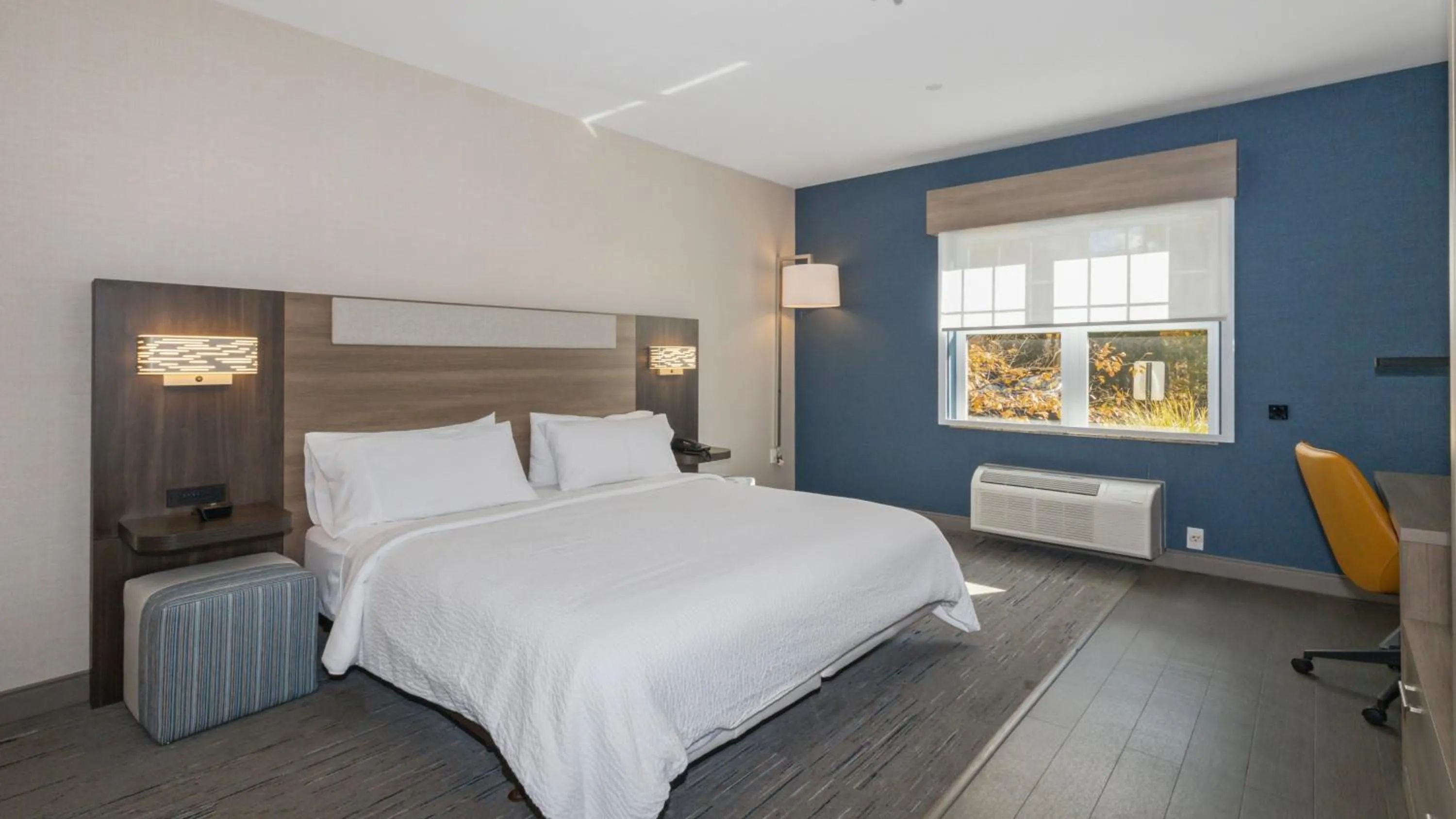 Photo of the whole room, Bed in Holiday Inn Express Hotel & Suites Hampton South-Seabrook by IHG