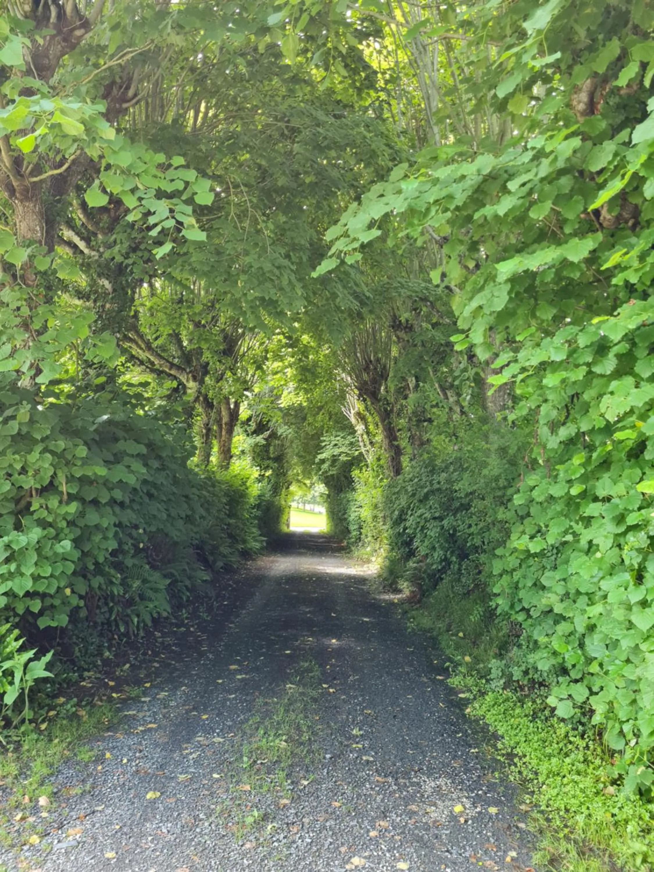 Domaine De La Cour Vautier