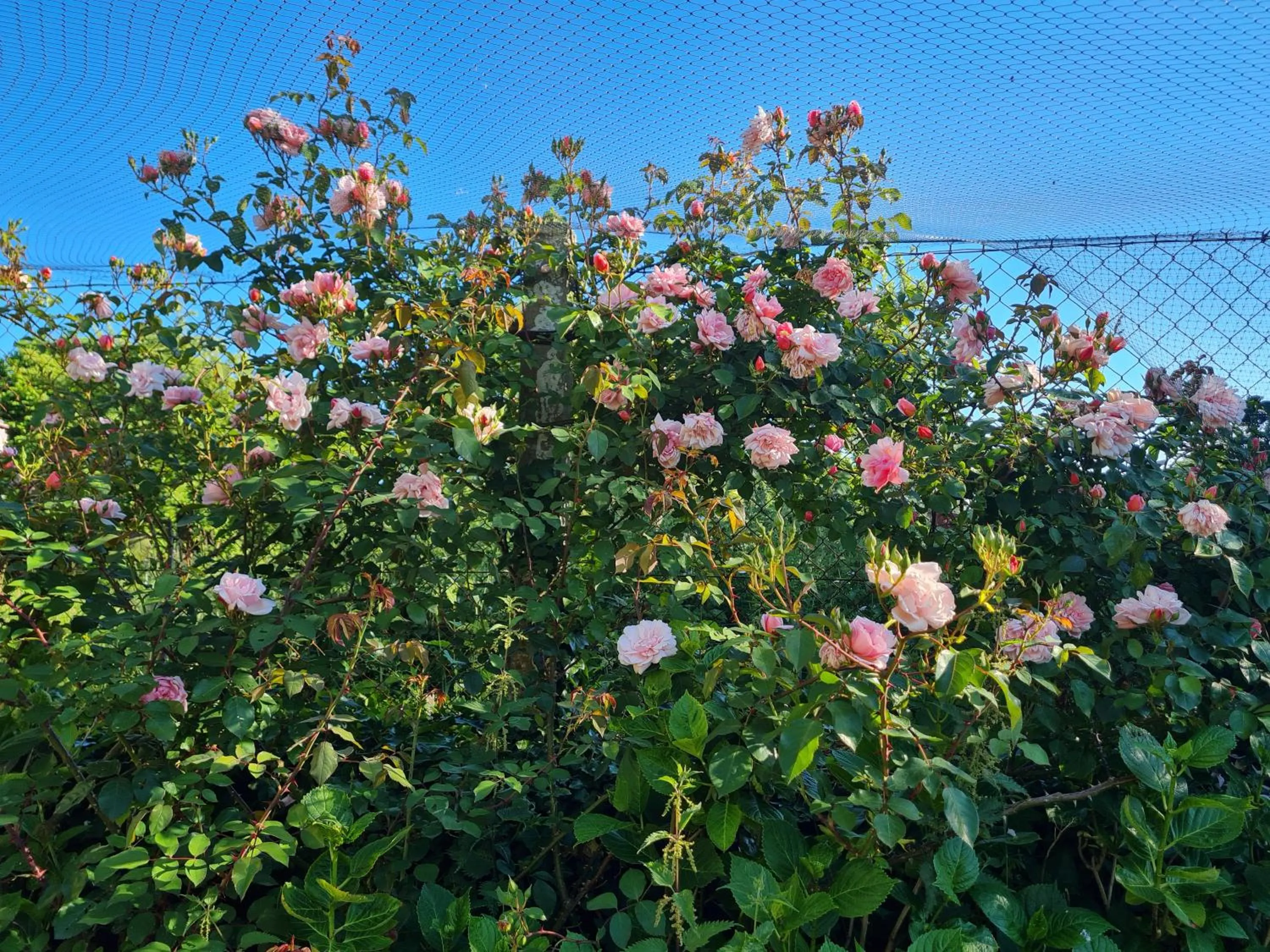 Garden in Domaine De La Cour Vautier