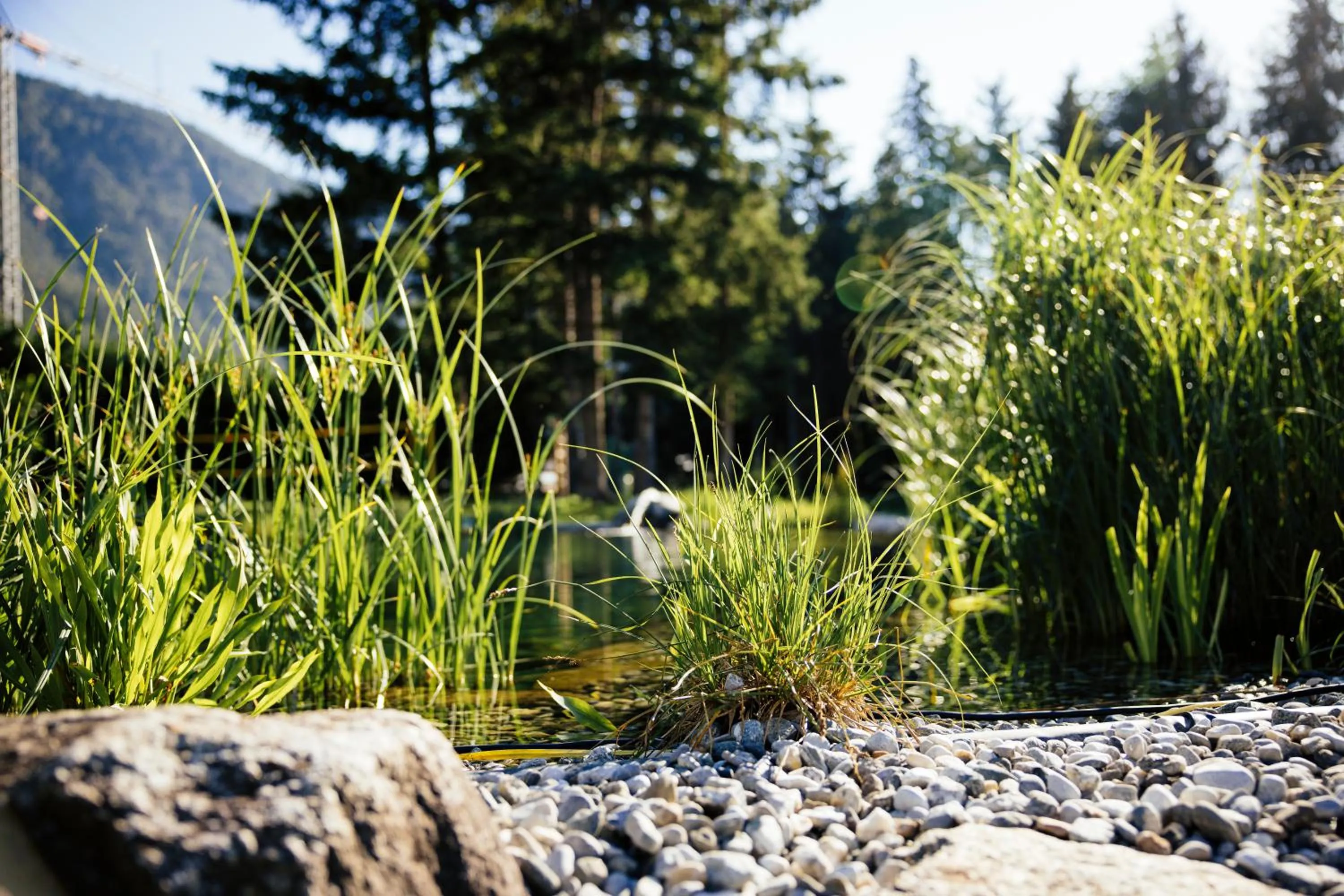 Swimming pool in Hotel Gasthof Hirschentenne