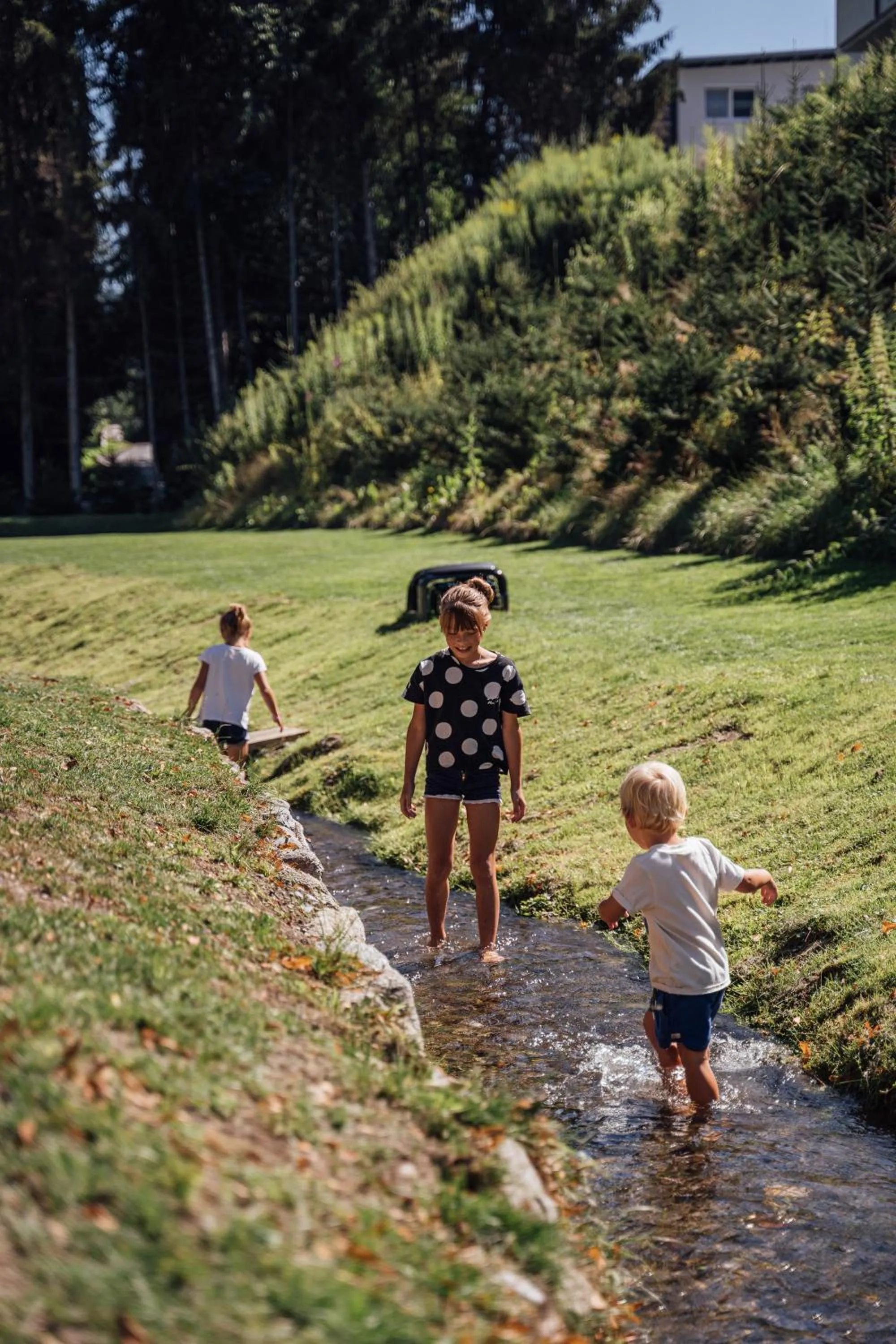 Garden in Hotel Gasthof Hirschentenne