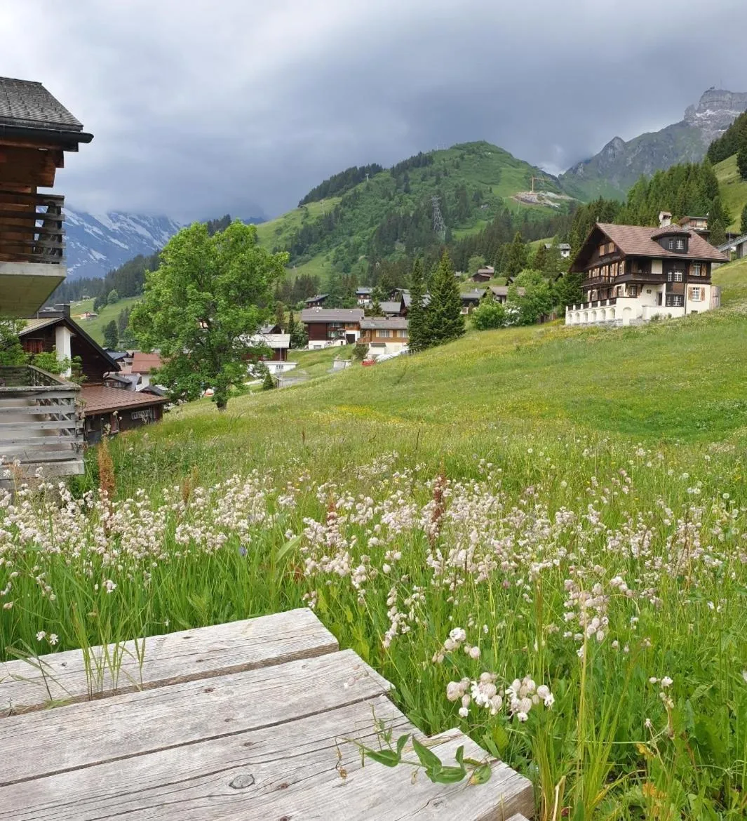 Hotel Jungfrau Mürren