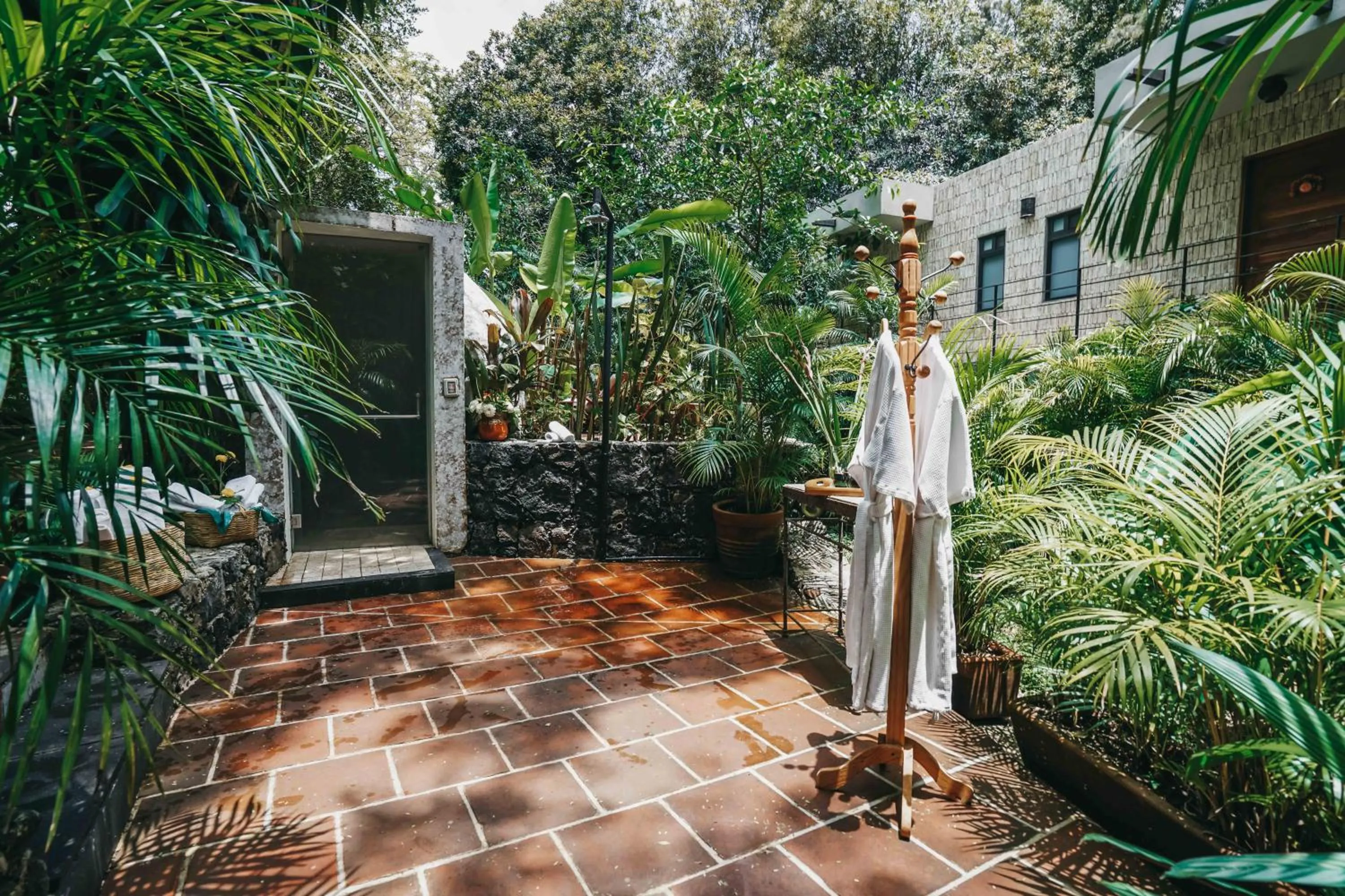 Spa and wellness centre/facilities in Amomoxtli