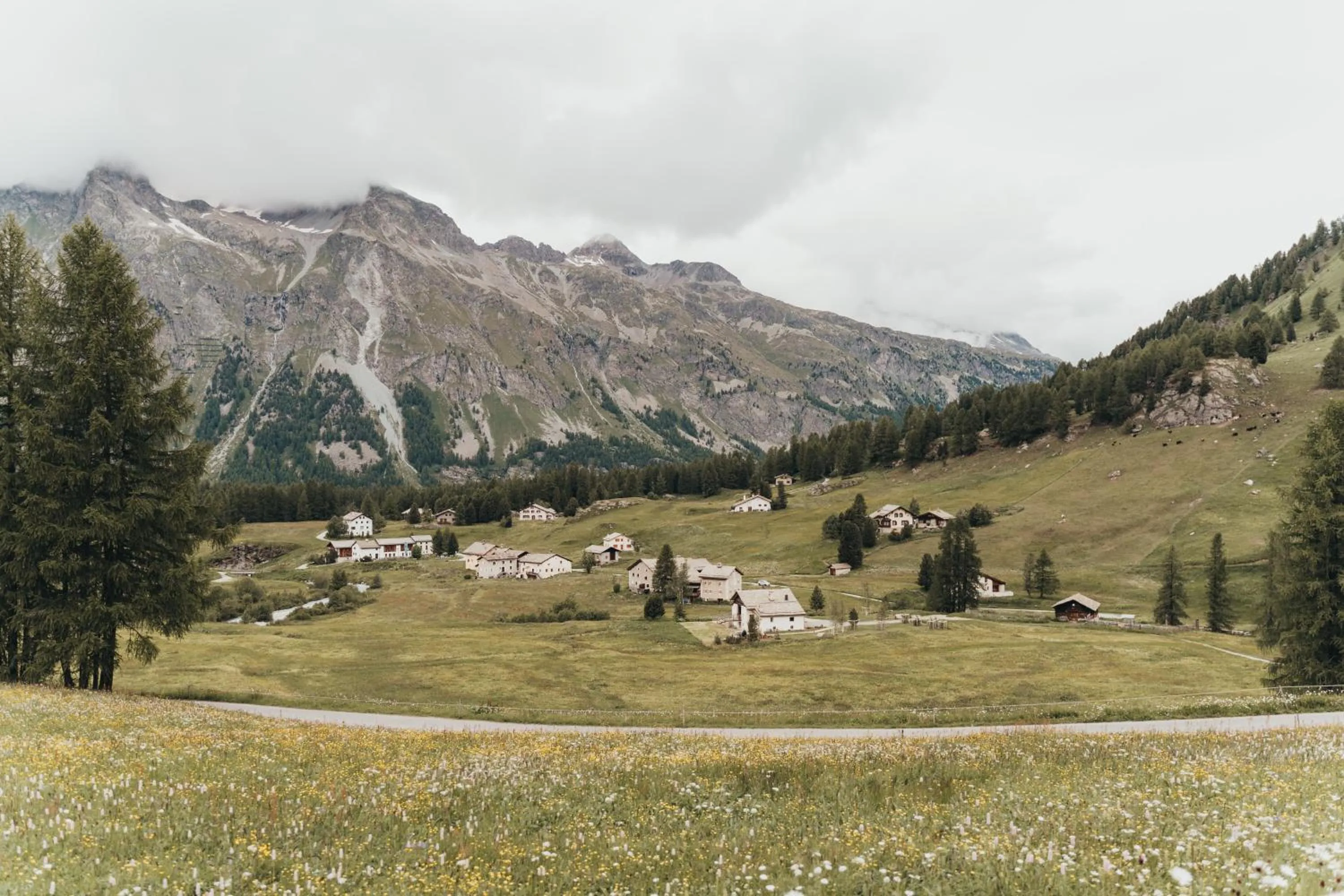 Natural landscape in Hotel Bernina 1865 by Kleos Group Collection